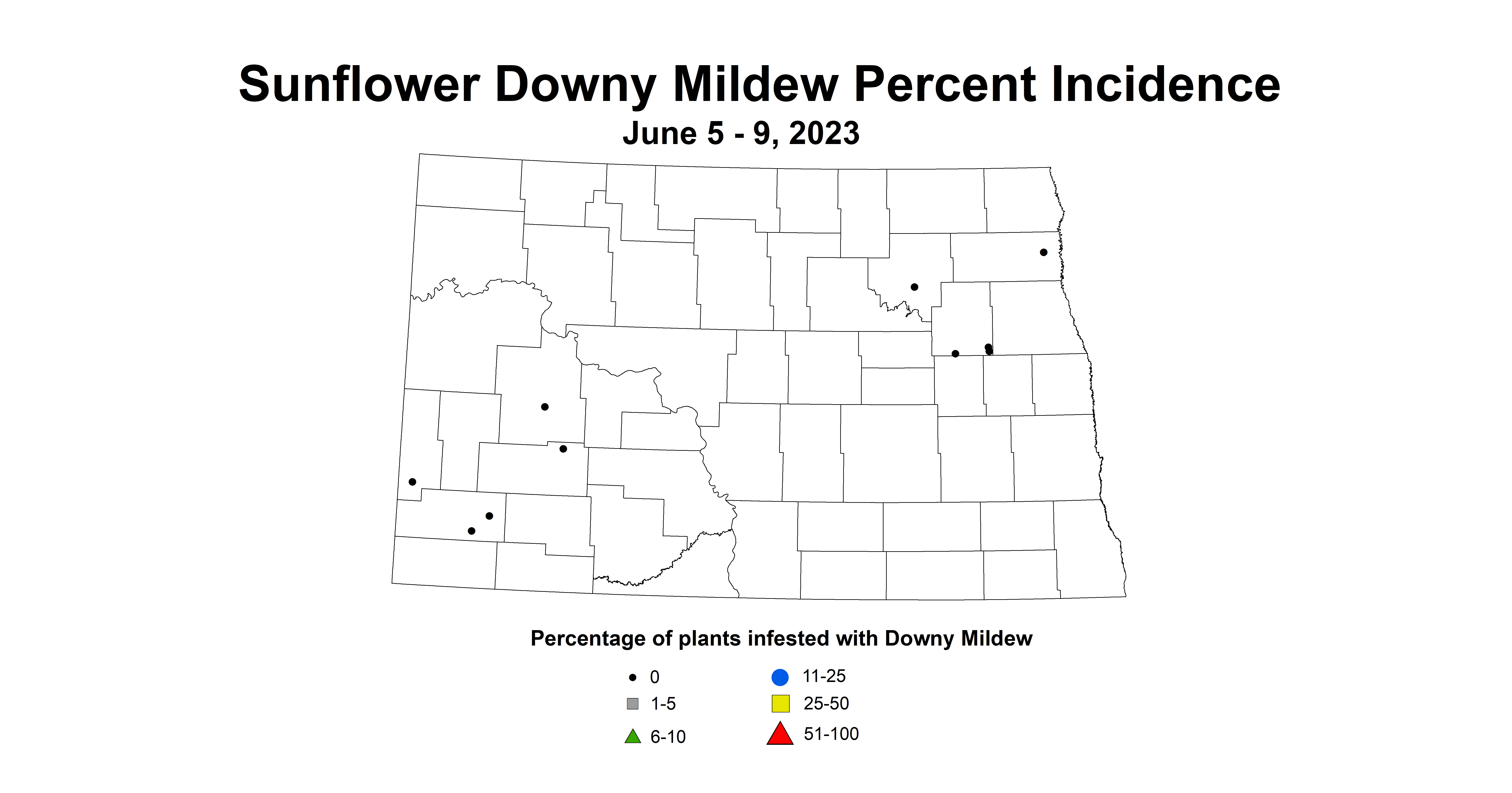 sunflower downy mildew percent incidence June 5-9 2023