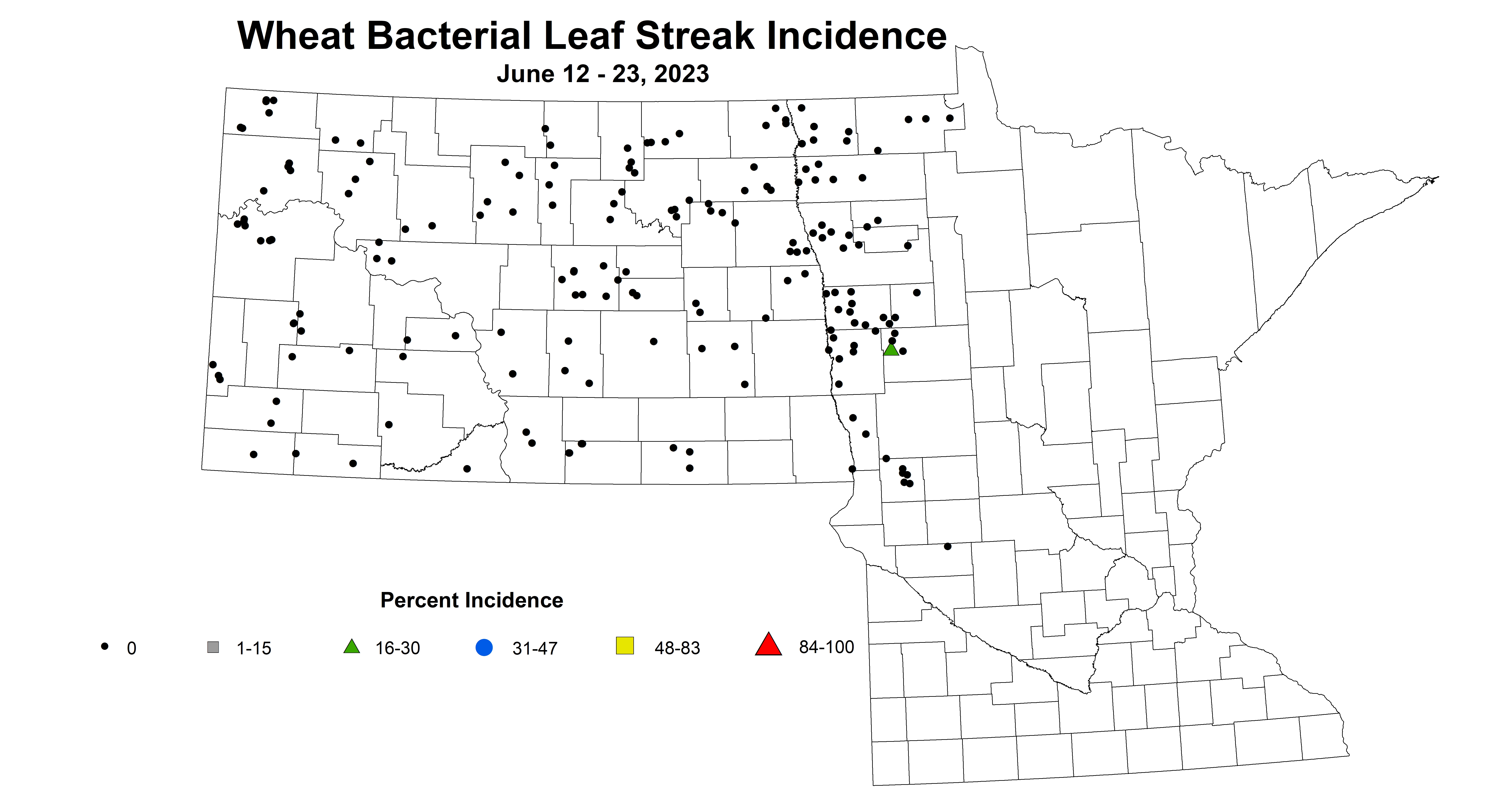 wheat bacterial leaf streak incidence June 12-23 2023 updated