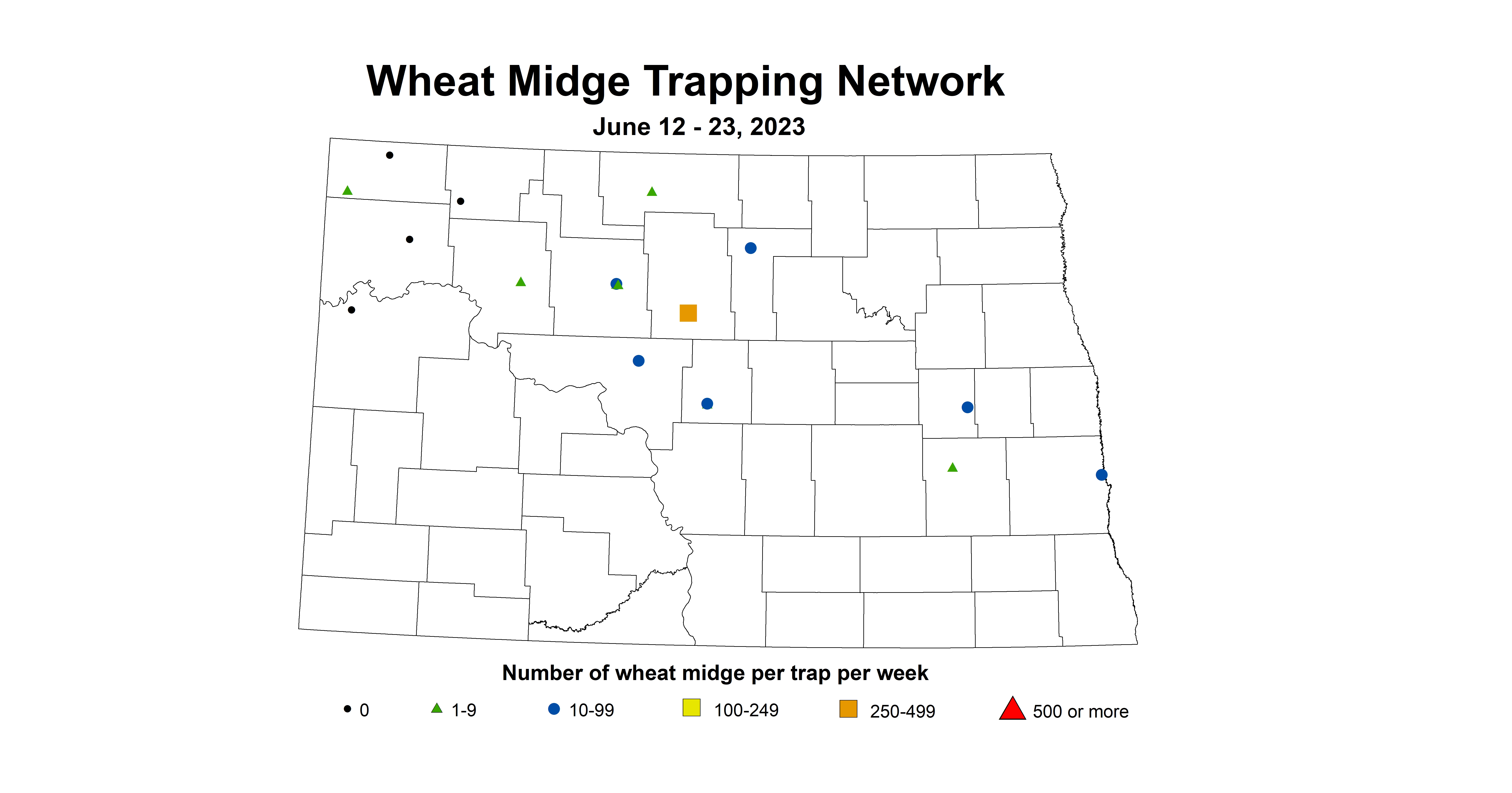 wheat midge trap June 12-23 2023