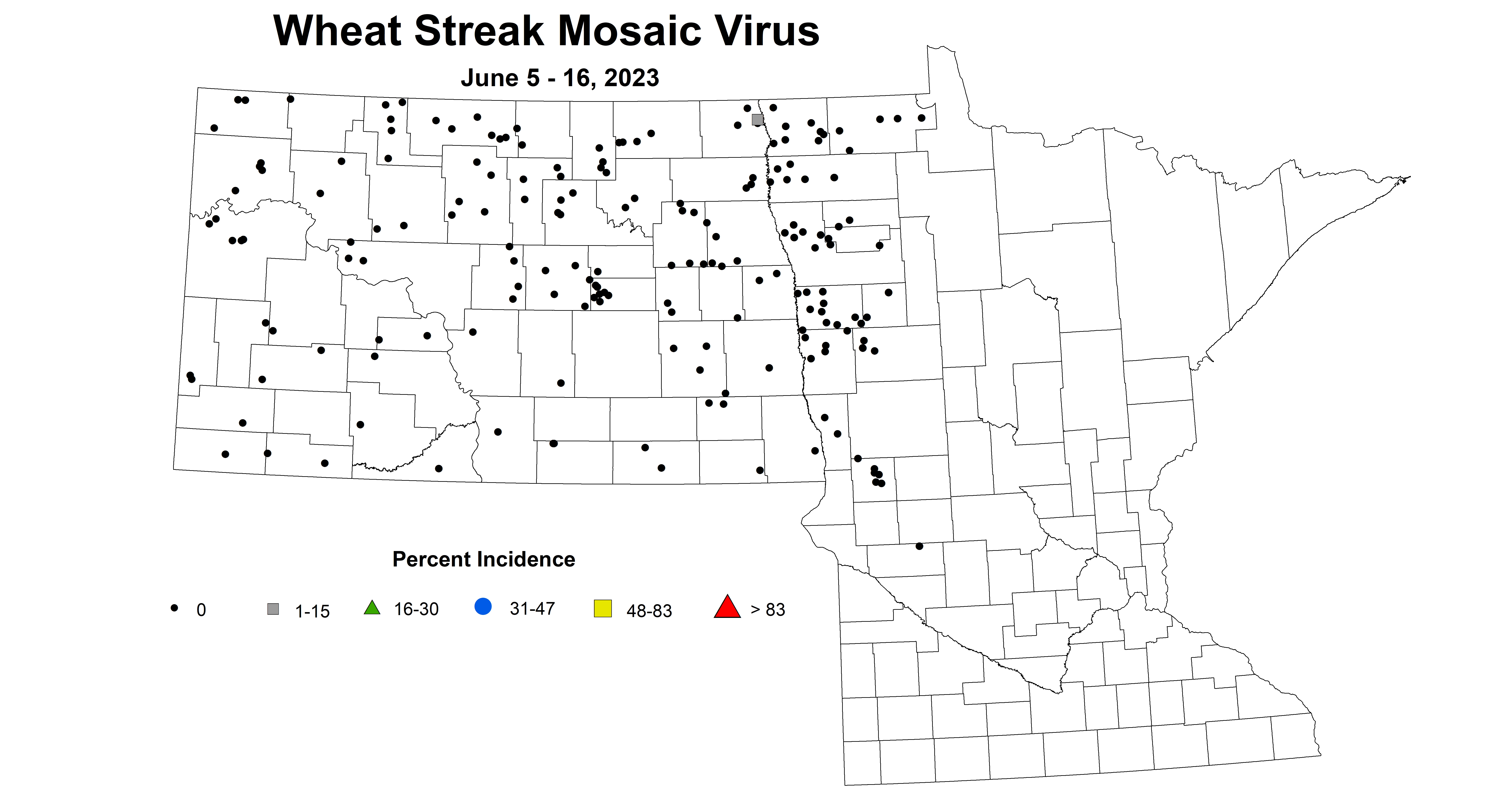 wheat streak mosaic virus June 5-16 2023
