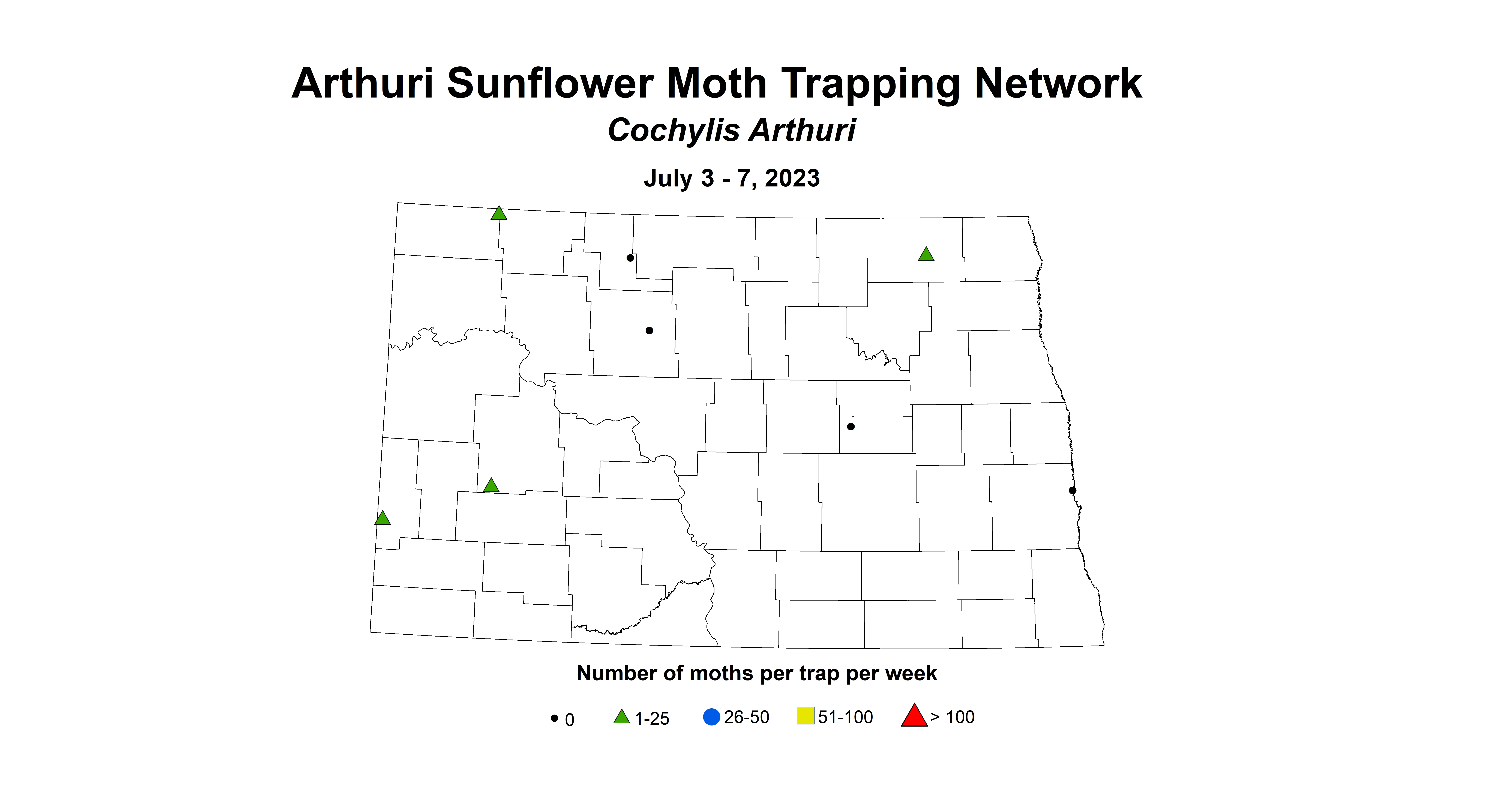 arthuri sunflower moth July 3-7 2023