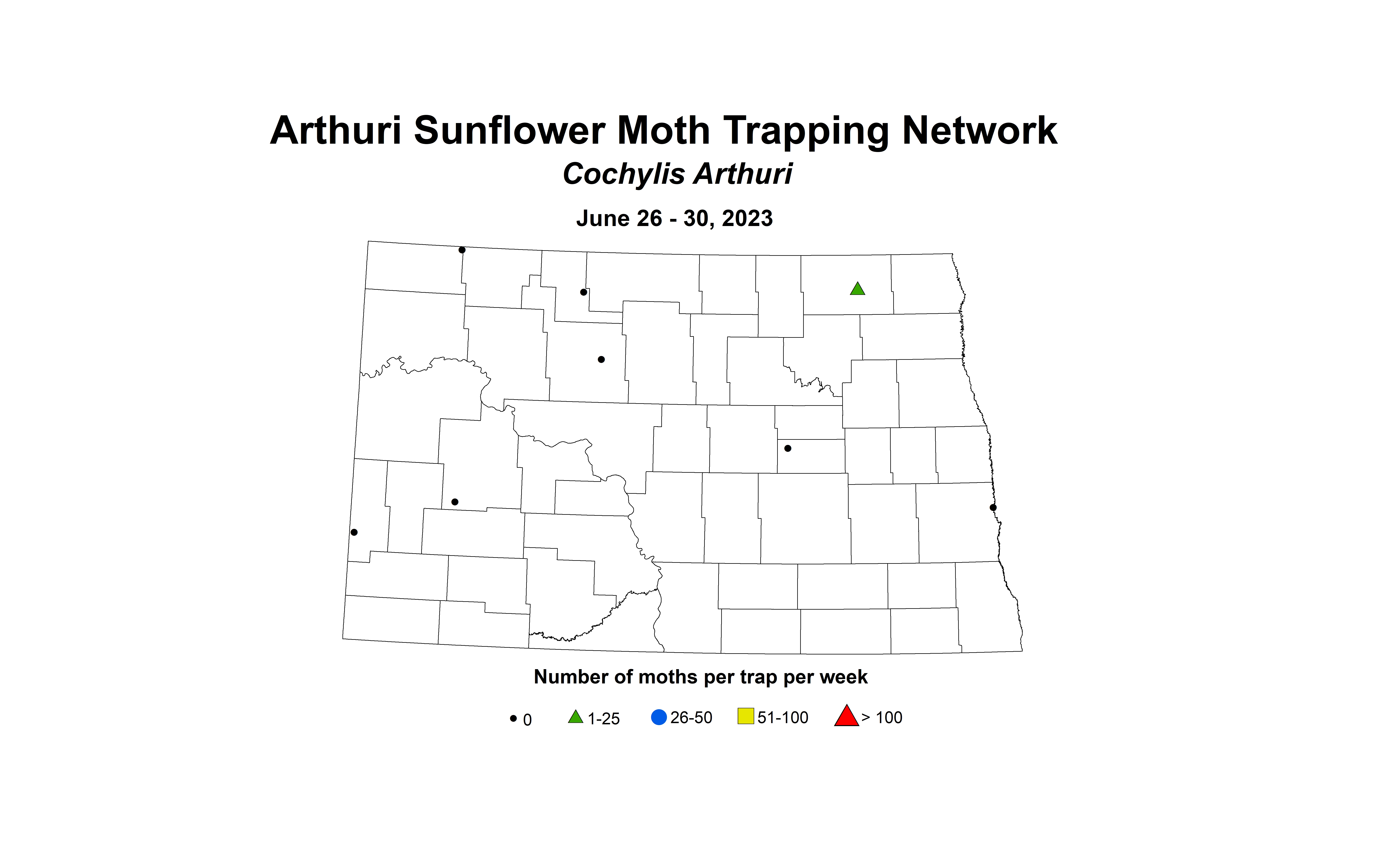 arthuri sunflower moth June 26-30 2023 corrected2