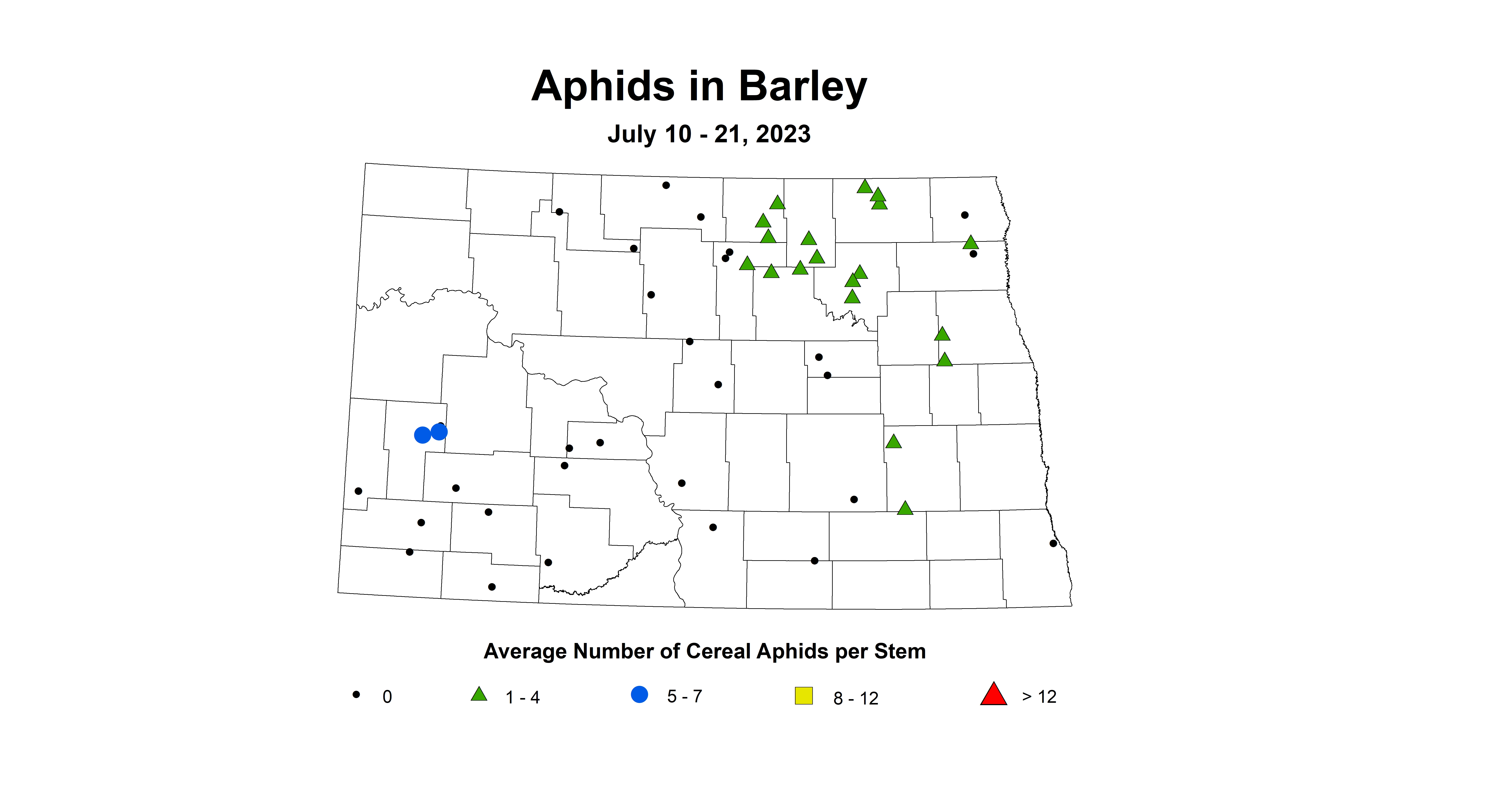 barley aphid July 10-21 2023