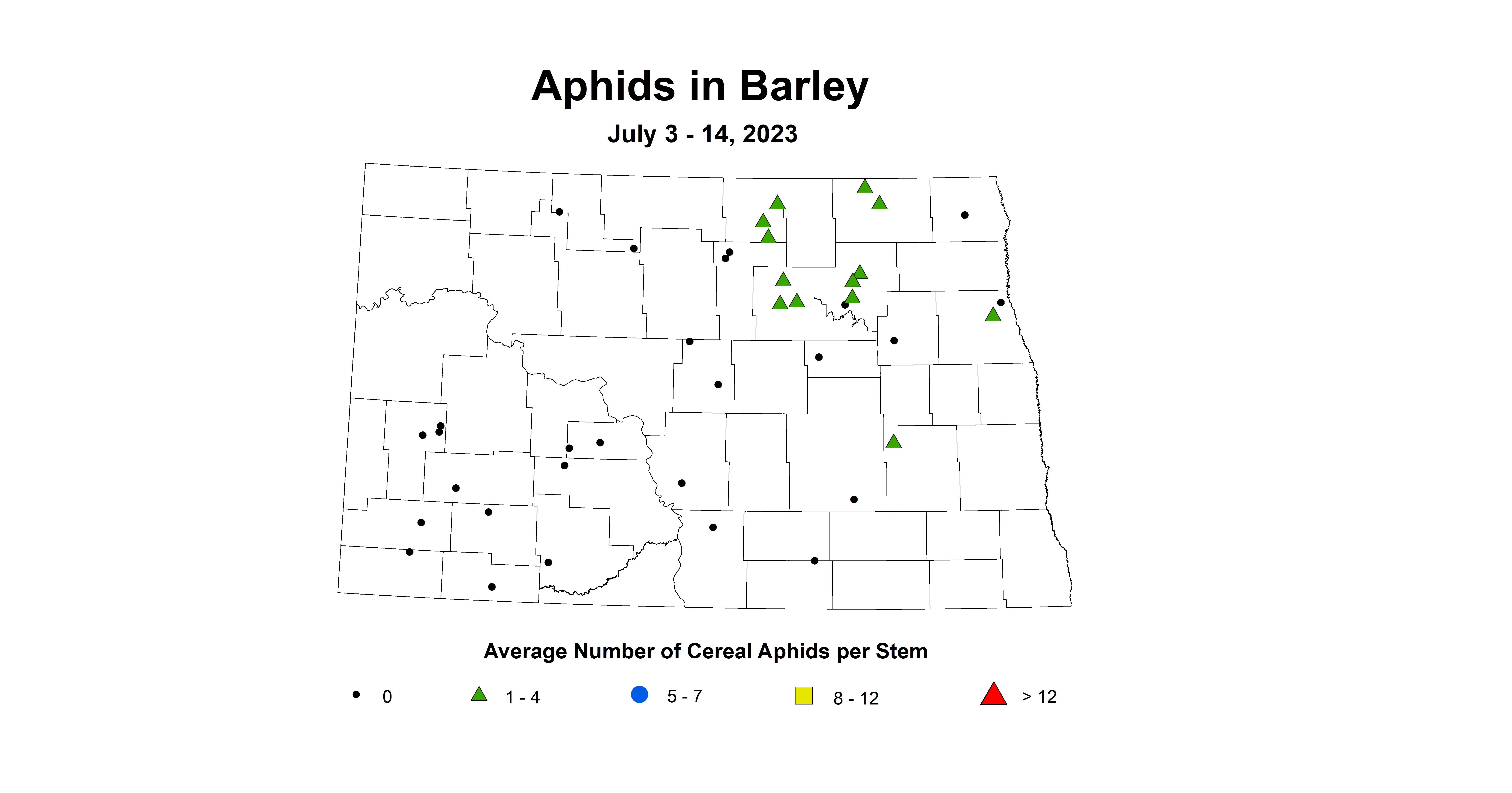 barley aphids July 3-14 2023
