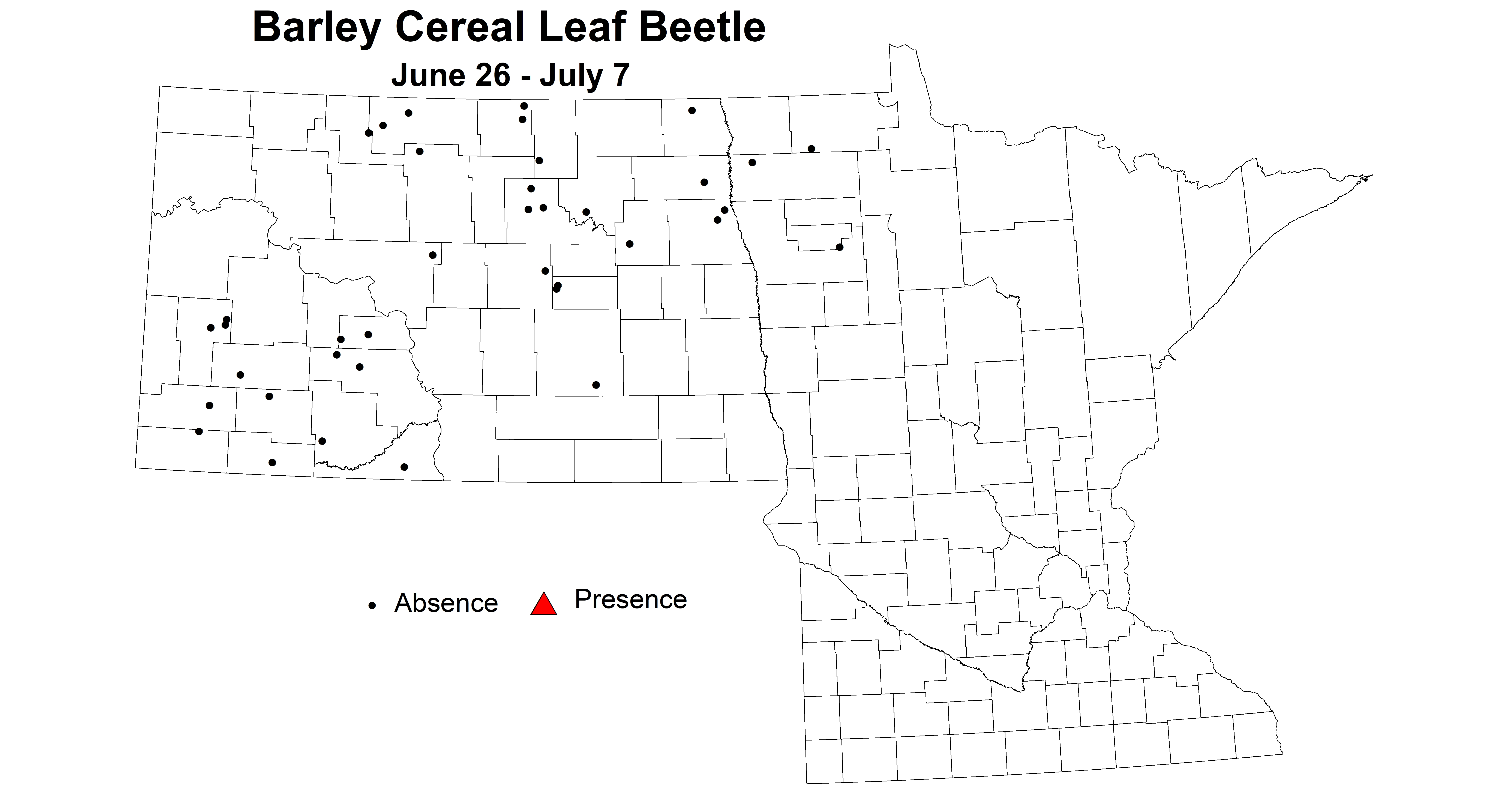 barley cereal leaf beetle June 26 - July 7 2023