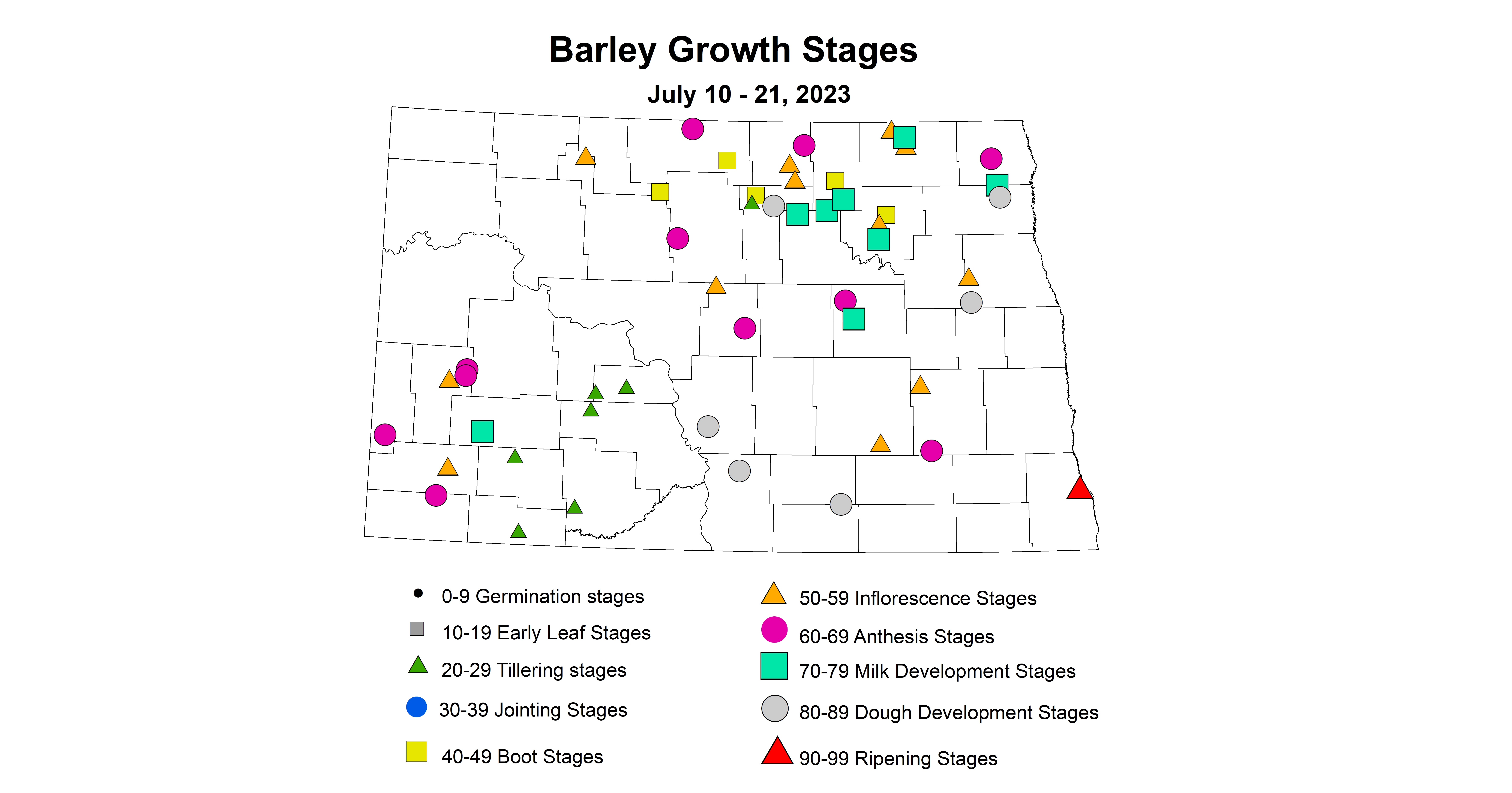 barley growth stages July 10-21 2023