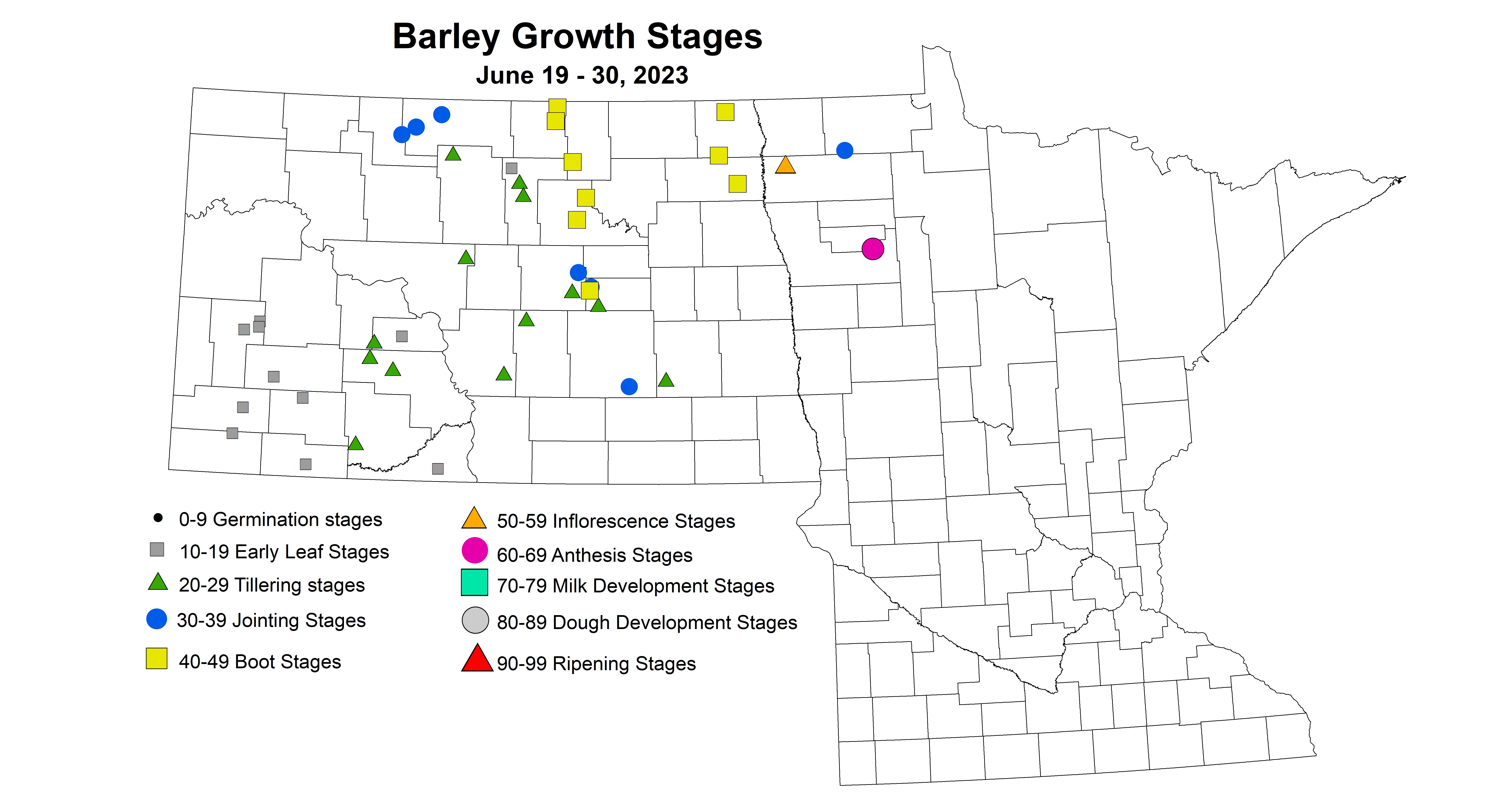 barley growth stages June 19-30 2023