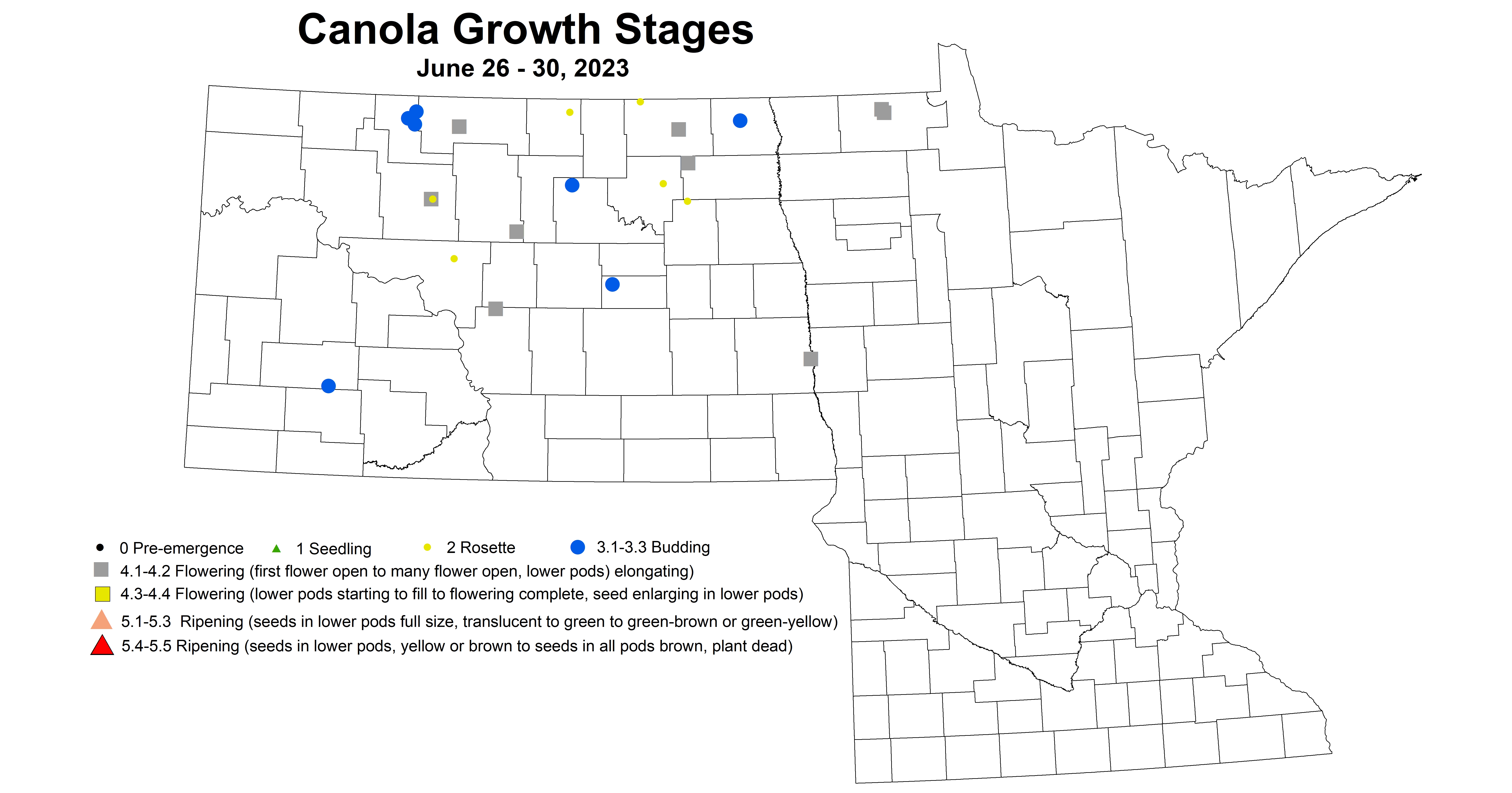 canola growth stages June 26-30 2023