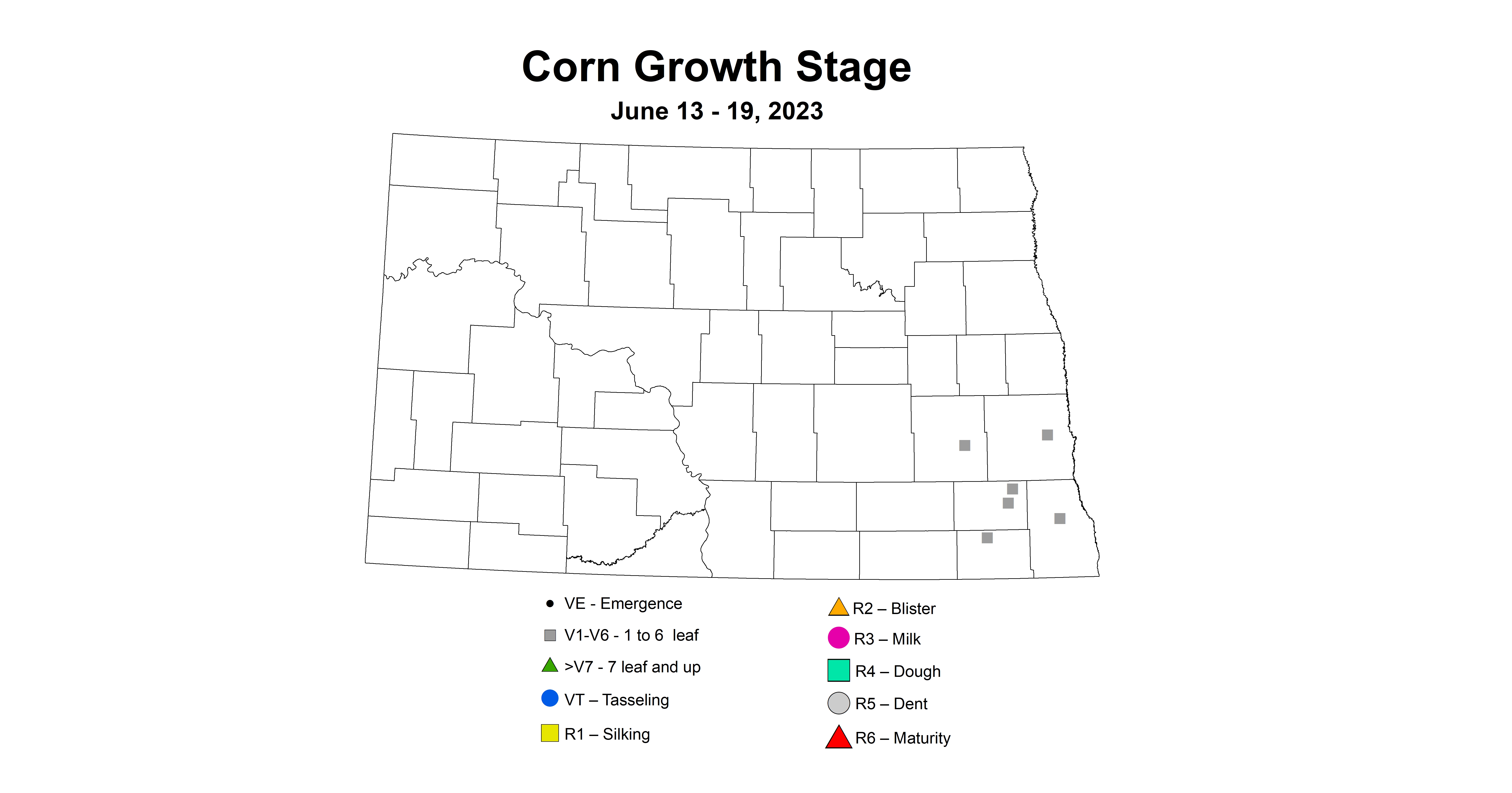 corn ecb growth stages 6.13-6.19 2023