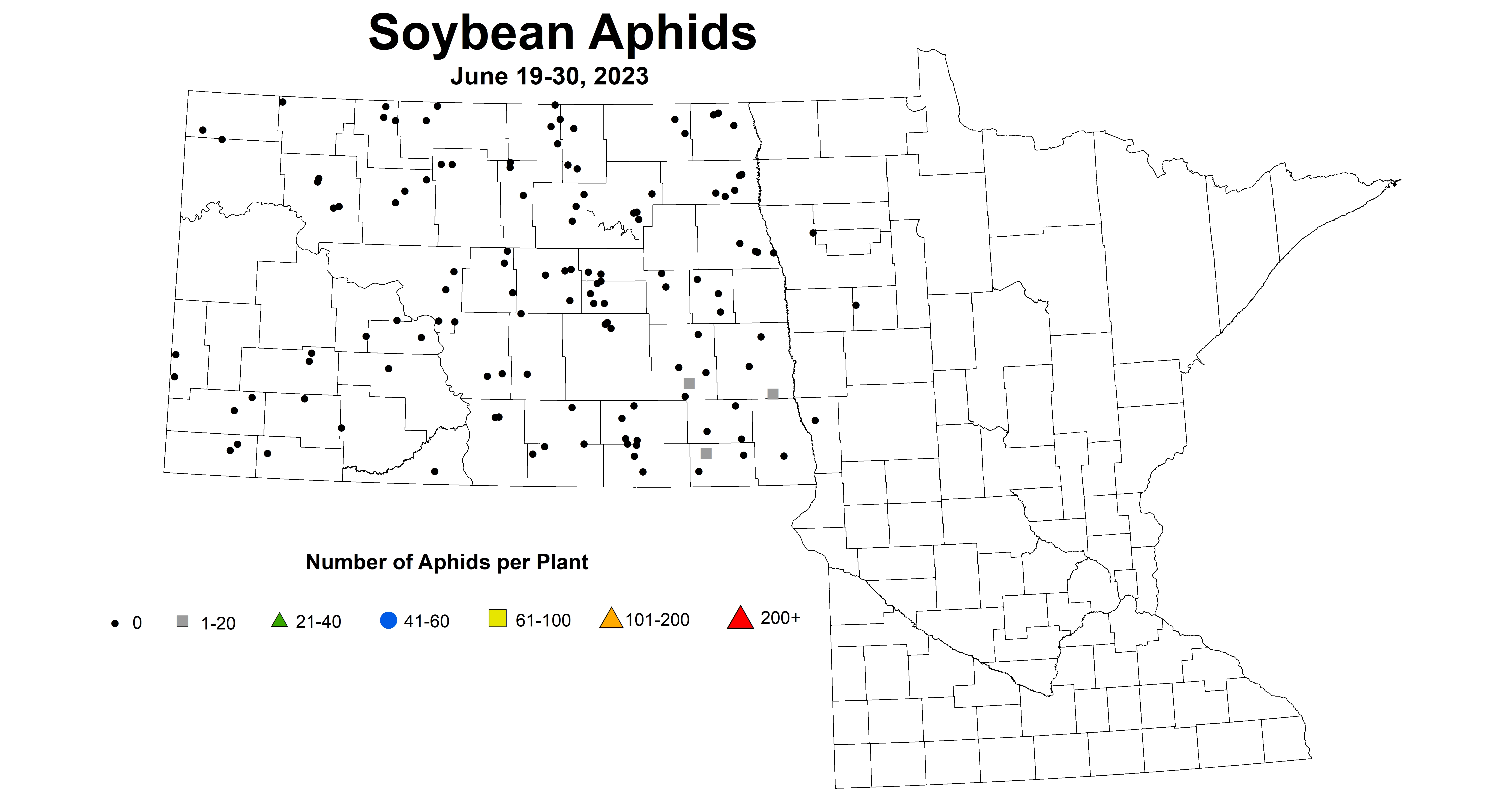 soybean average number of aphids June 19-30 2023