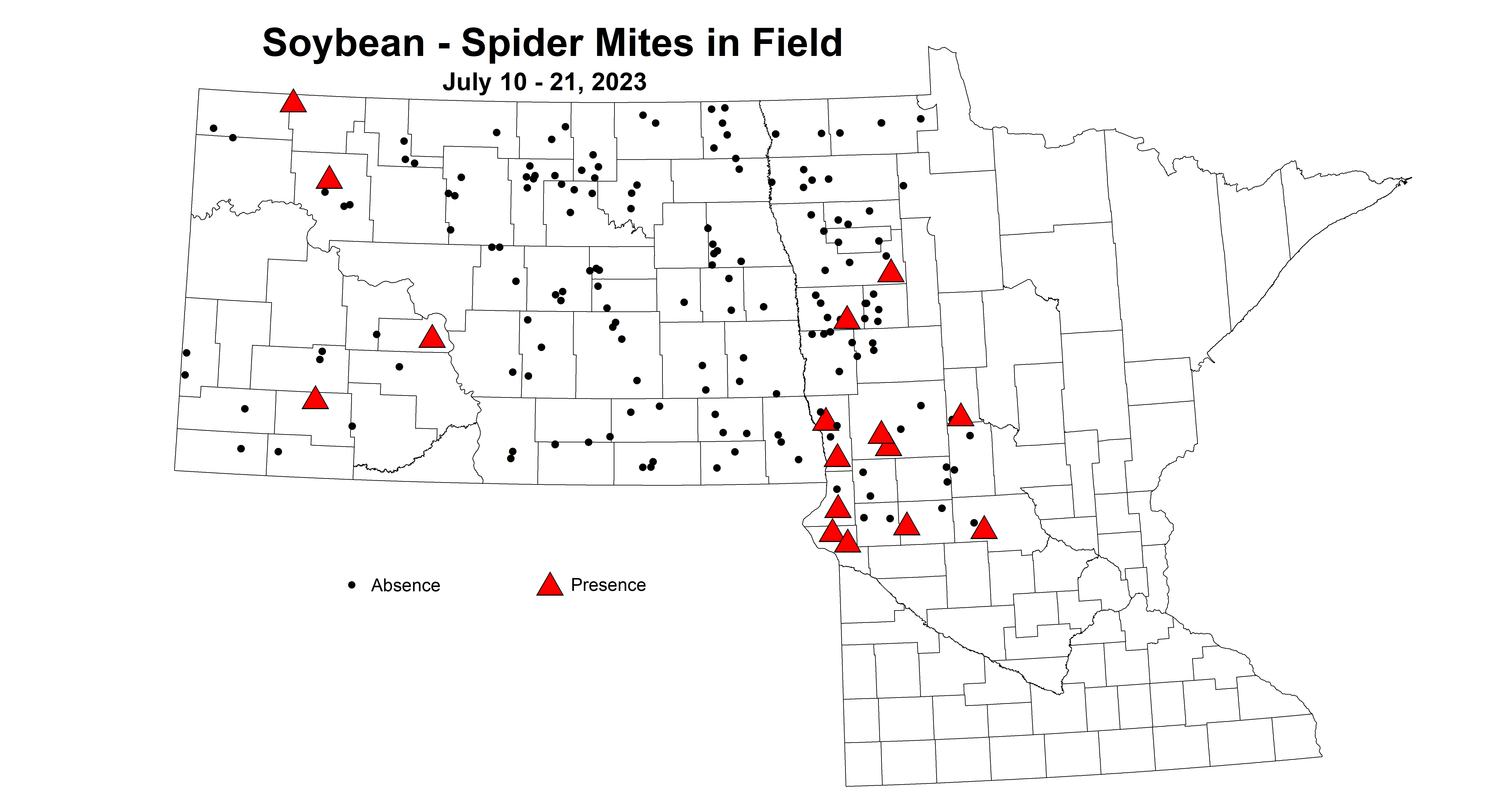 soybean spider mites in field July 10-21 2023