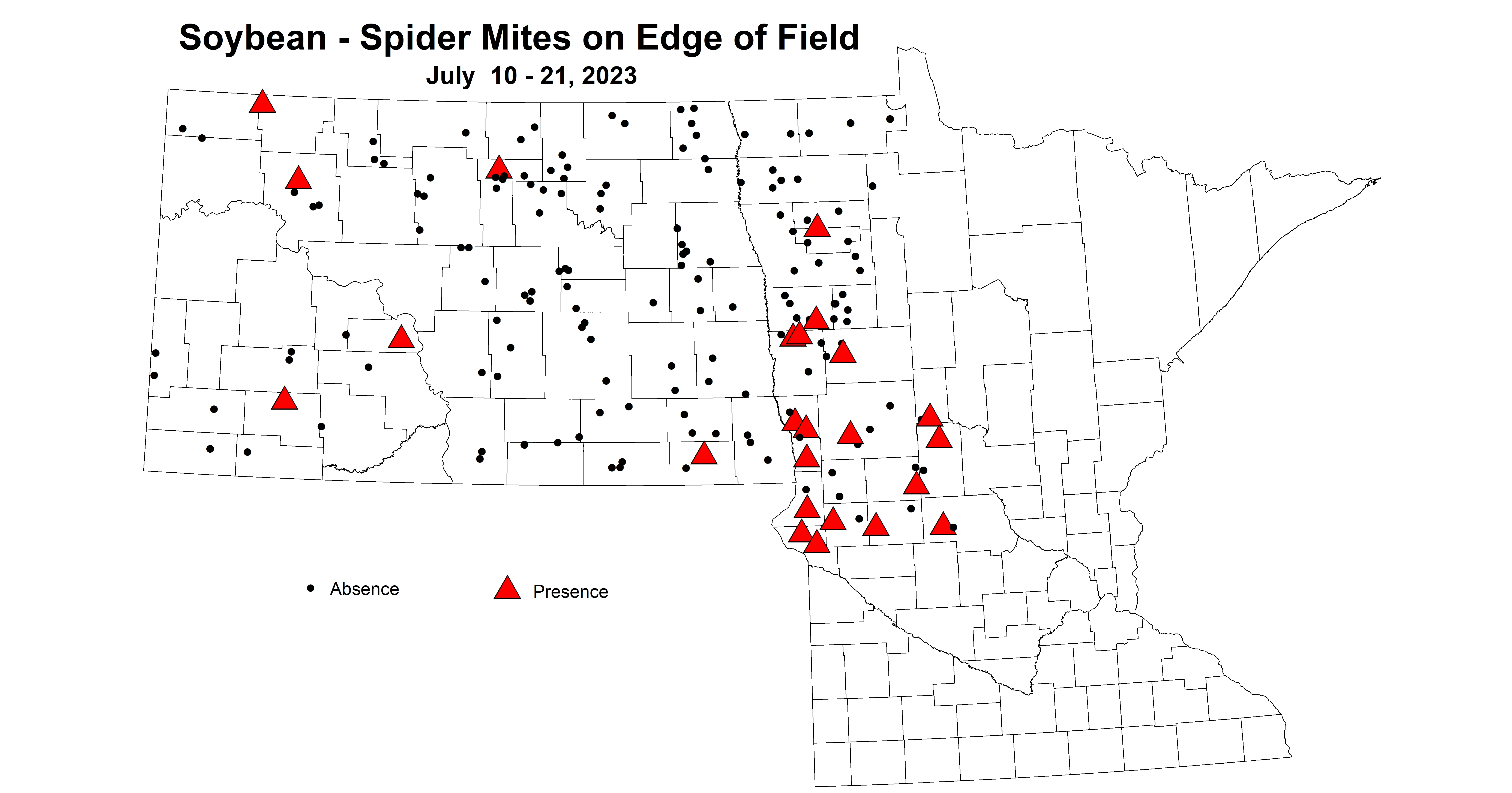 soybean spider mites on edge of field July 10-21 2023