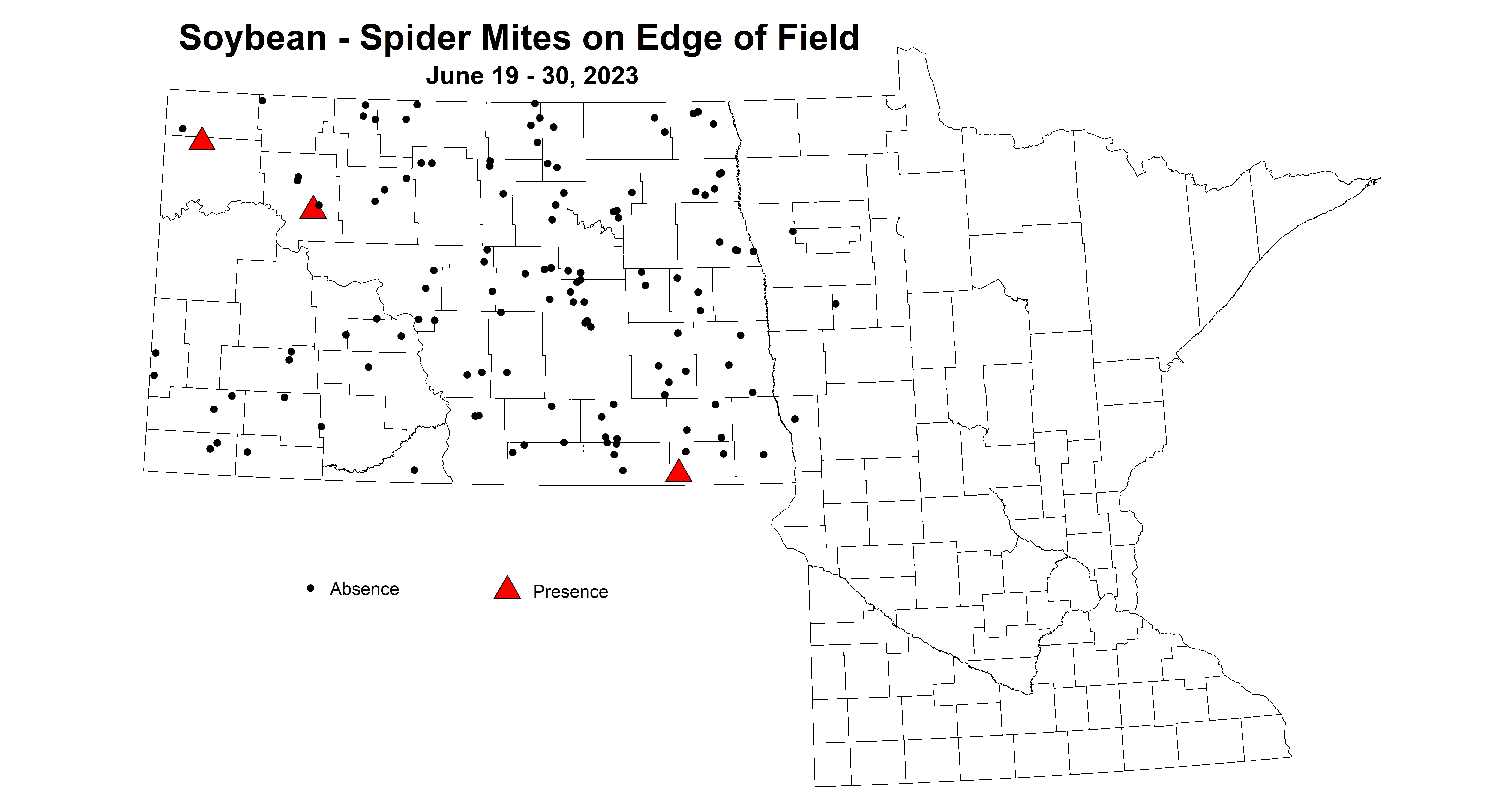 soybean spider mites on edge of field June 19-30 2023