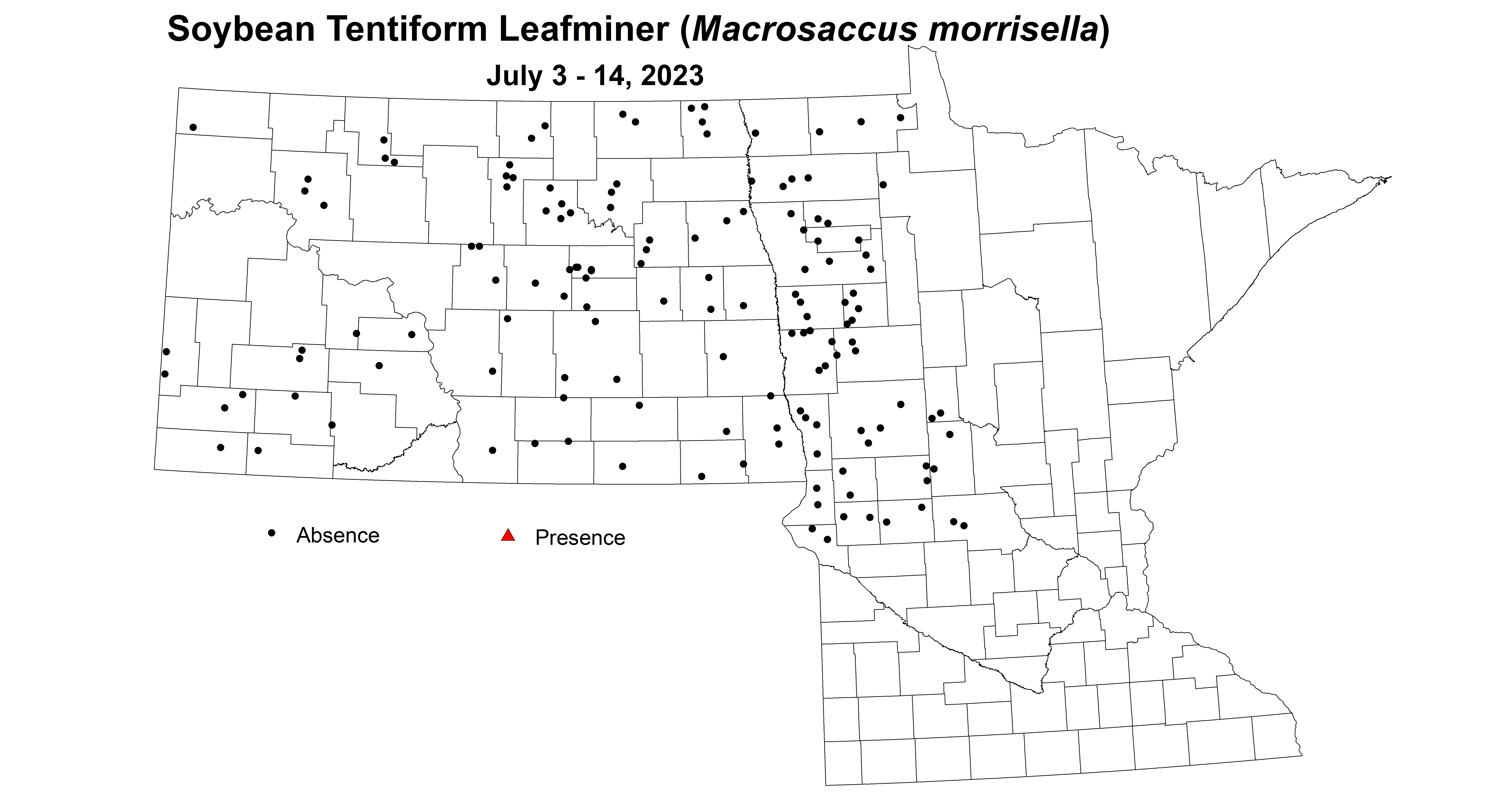 soybean tentiform leafminer July 3-14 2023 corrected