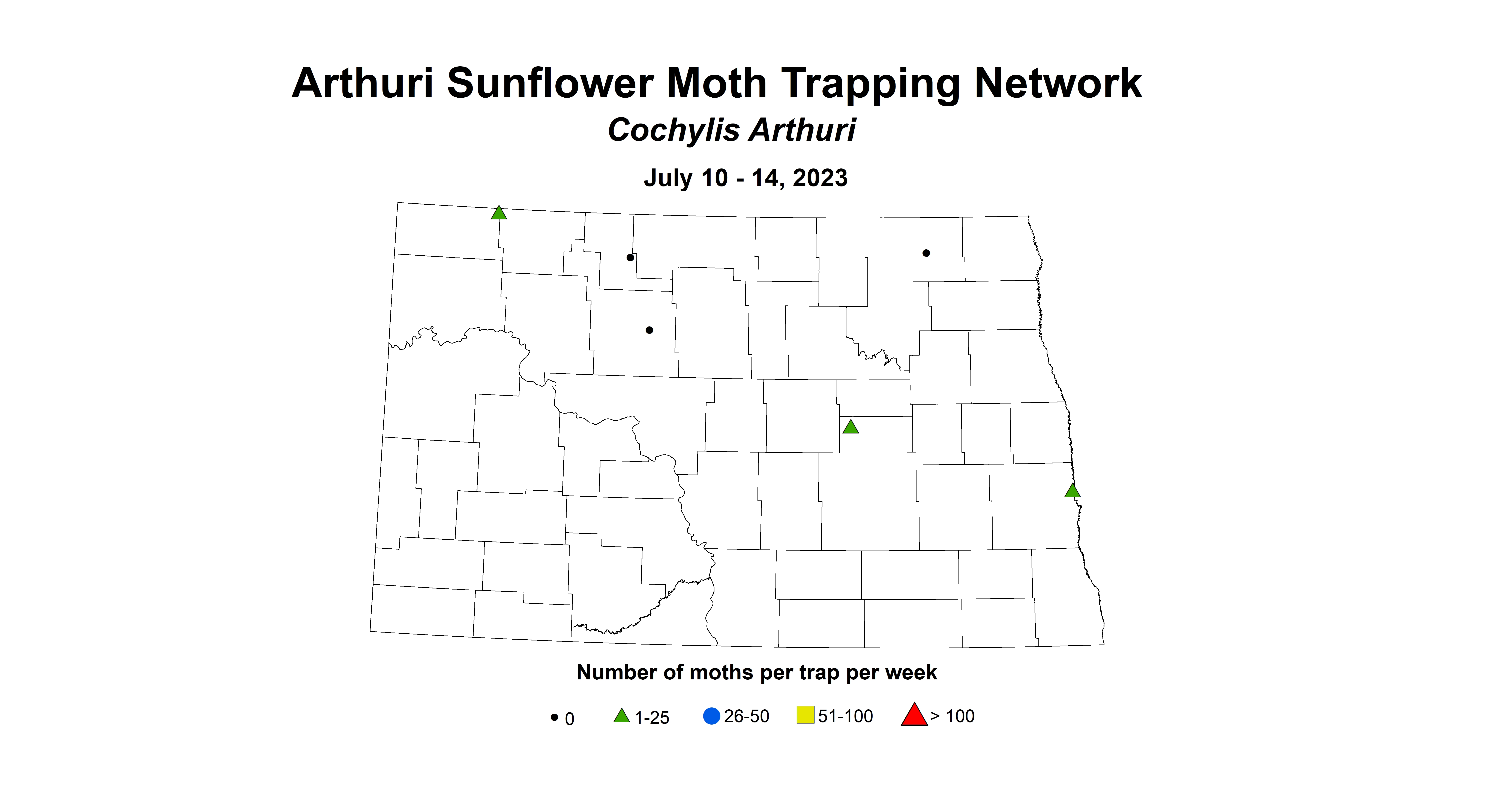 sunflower insect trap arthuri sunflower moth July 10-14 2023