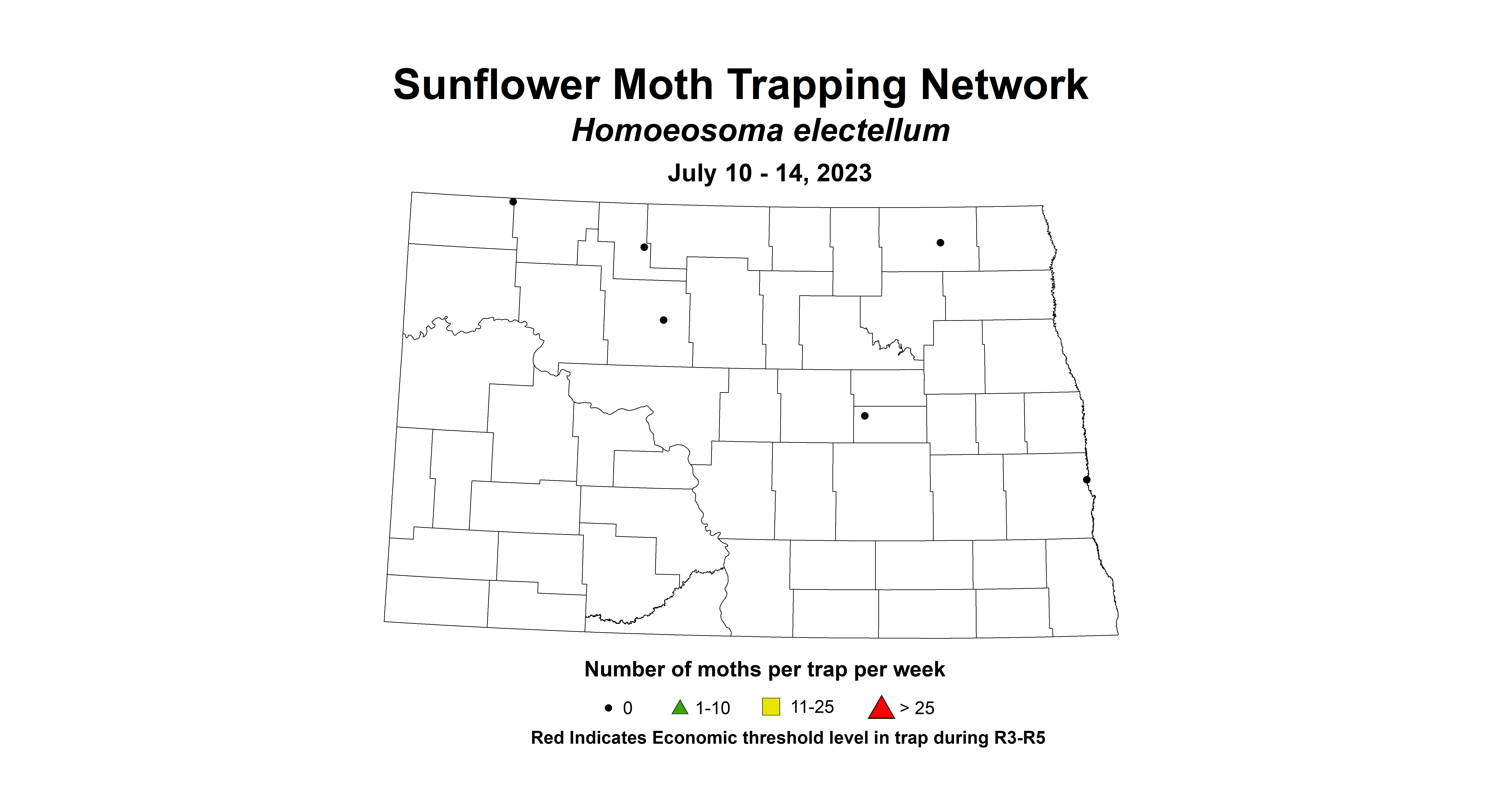 sunflower insect trap moth July 10-14 2023
