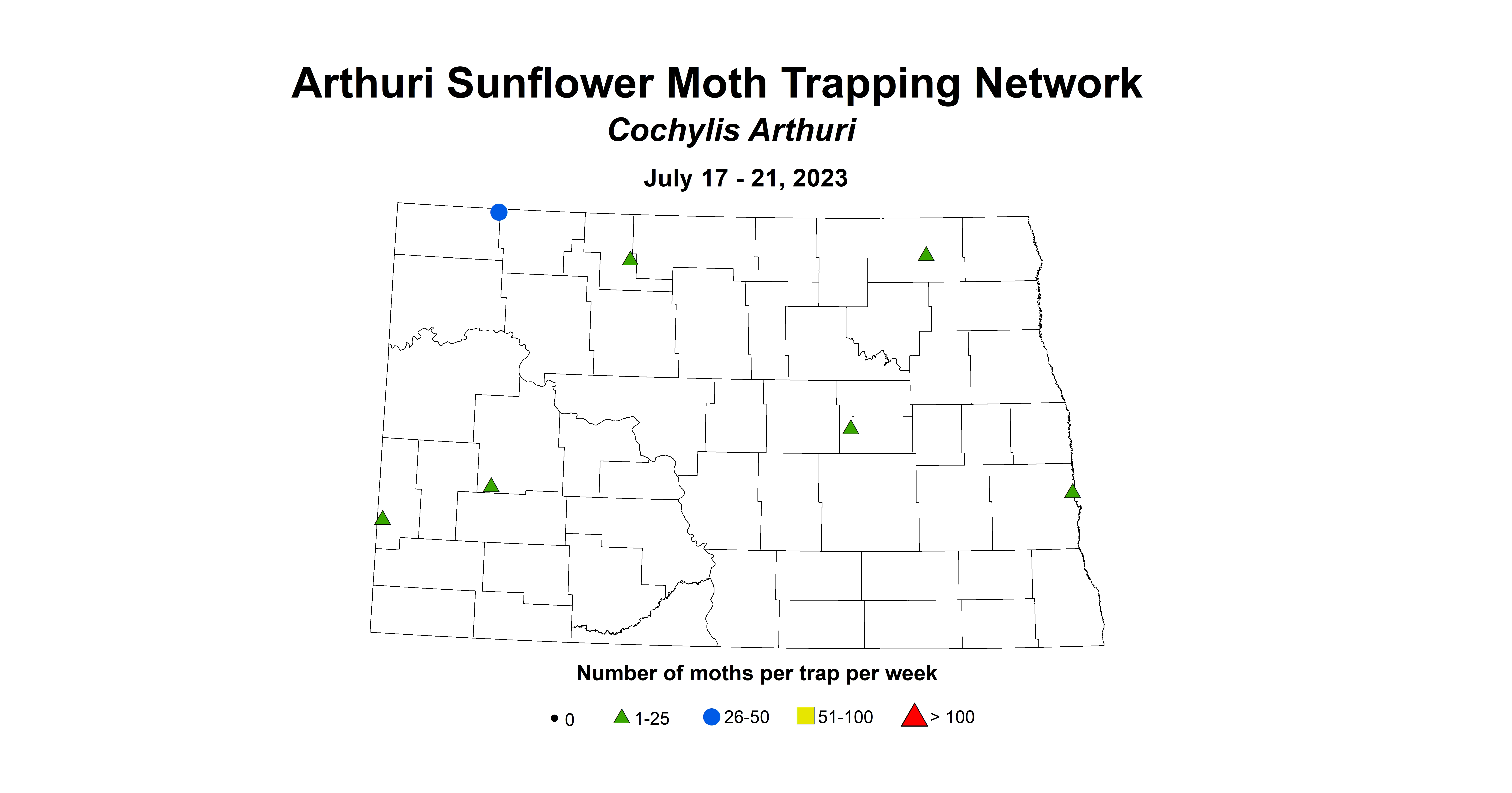sunflower insecttrap arthuri sunflower moth July 17-21 2023