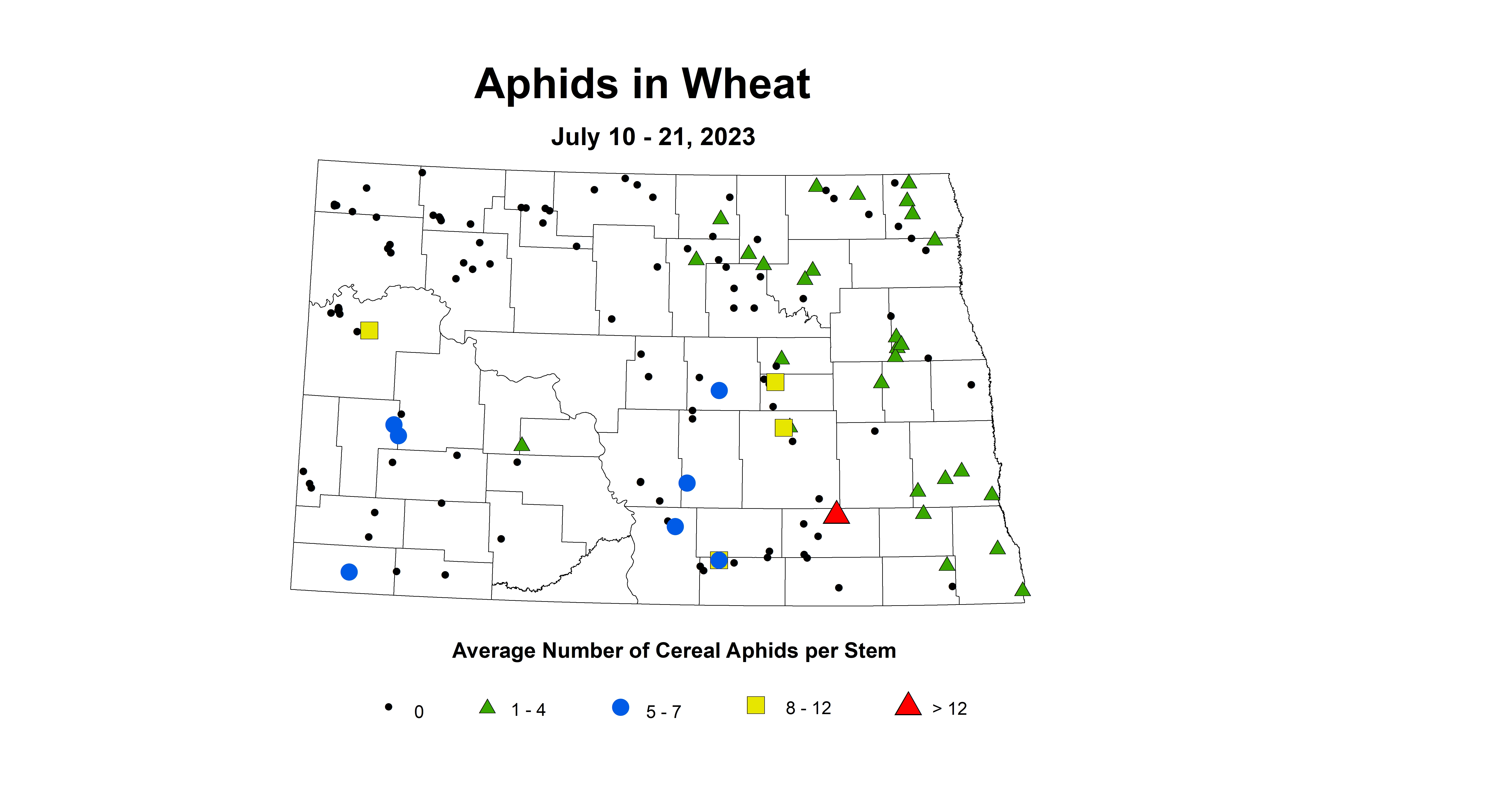 wheat aphids July 10-21 2023