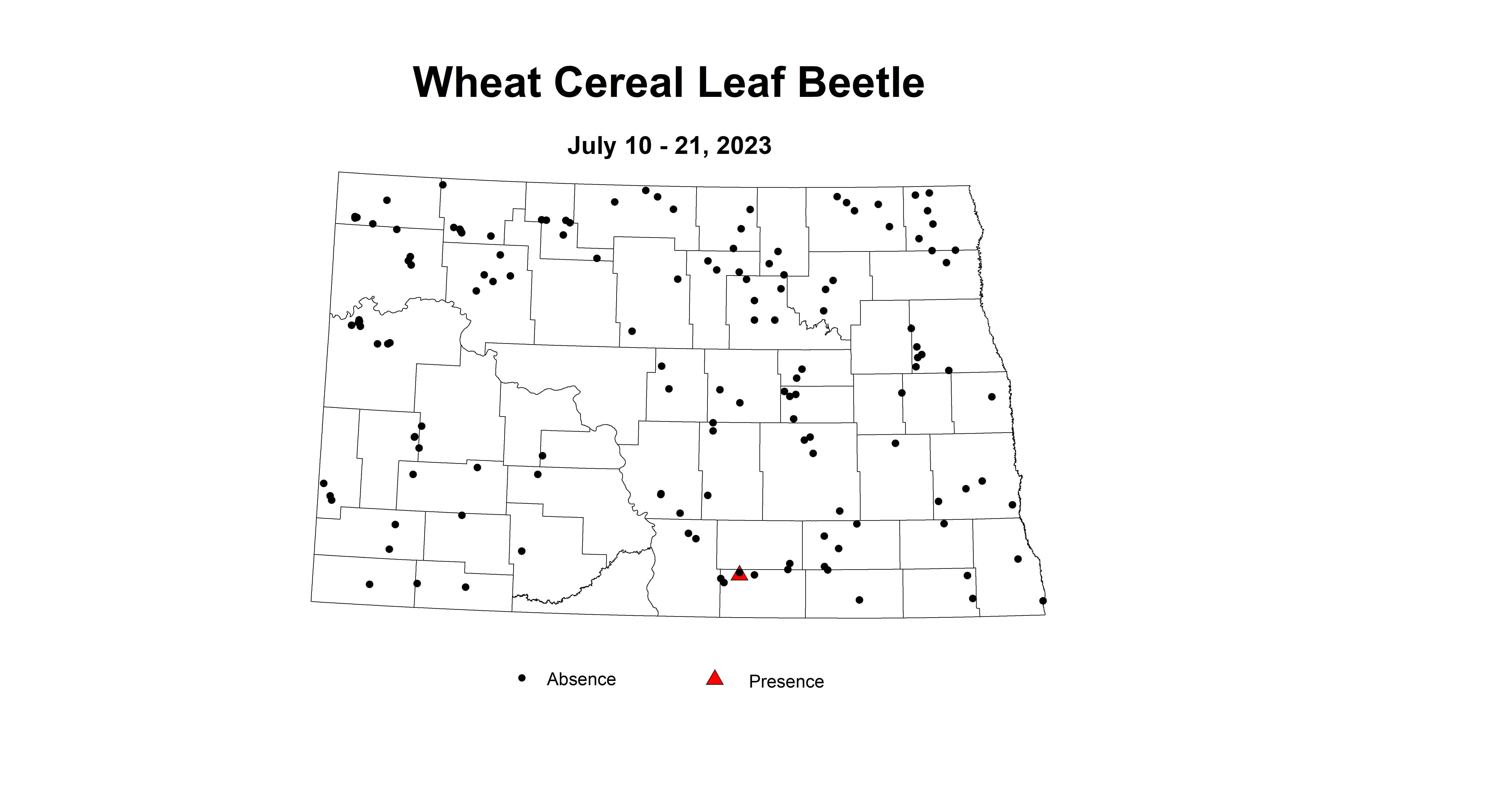 wheat cereal leaf beetle July 10-21 2023