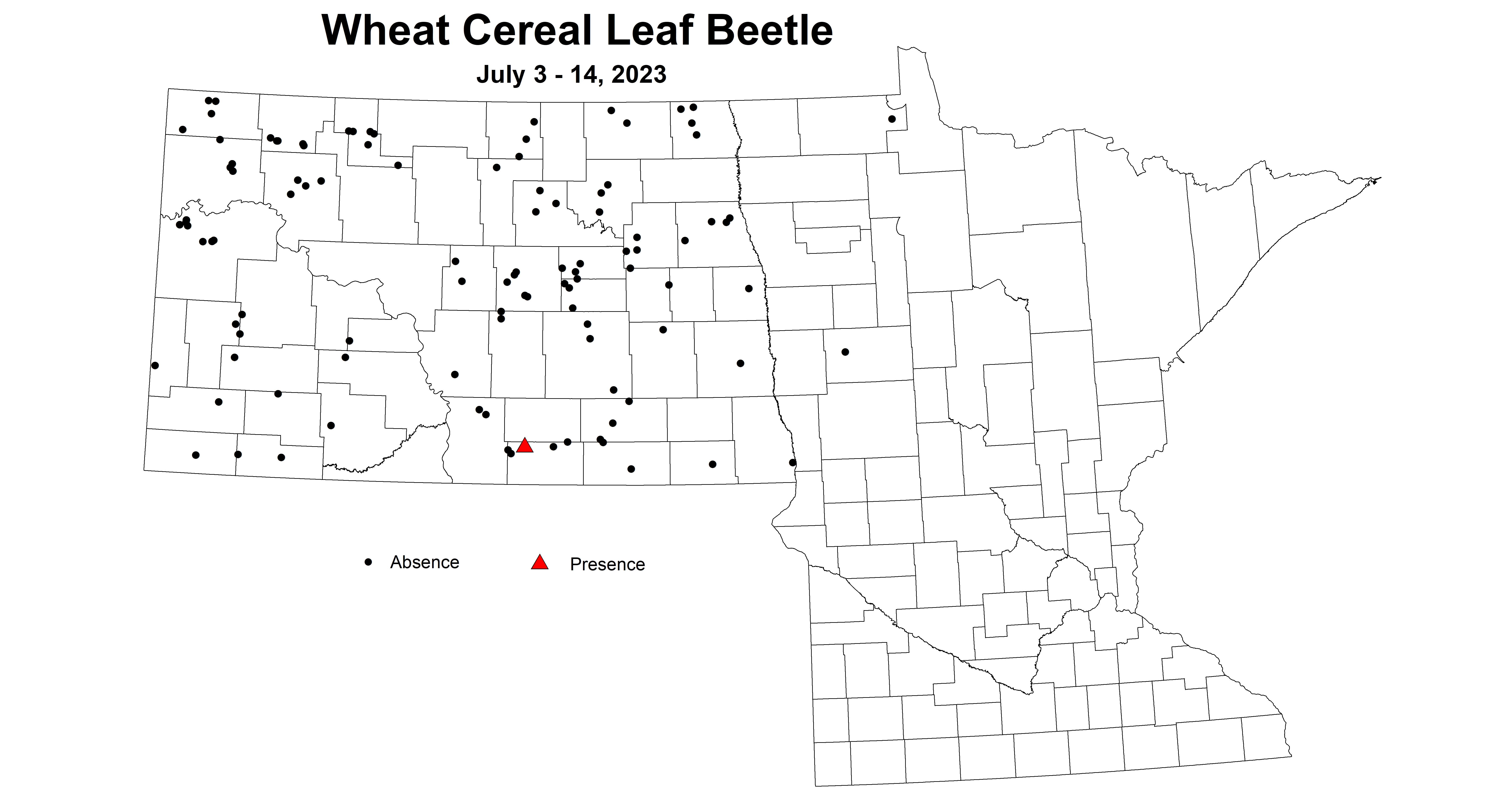 wheat cereal leaf beetle July 3-14 2023