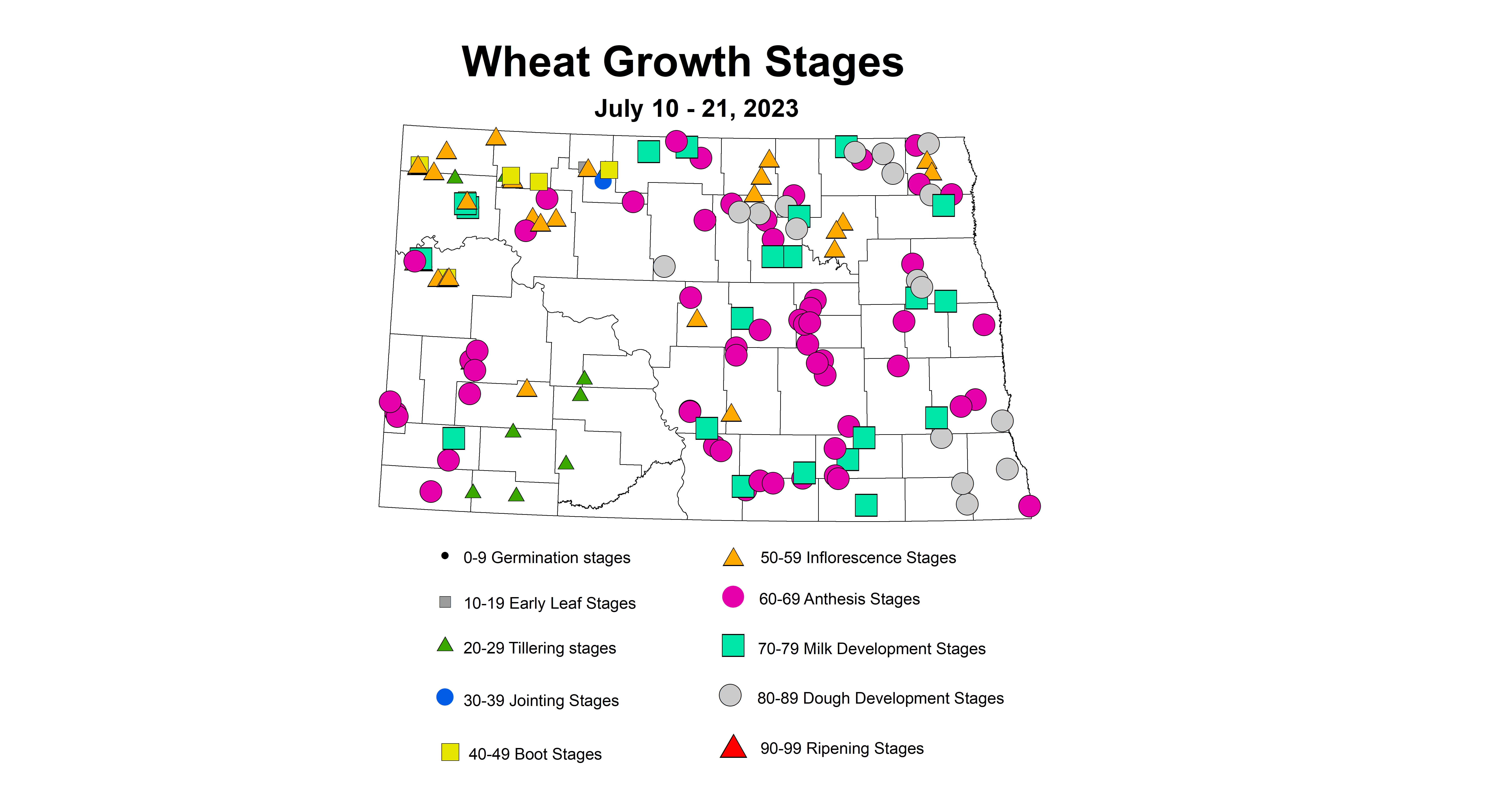 wheat growth stages July 10-21 2023