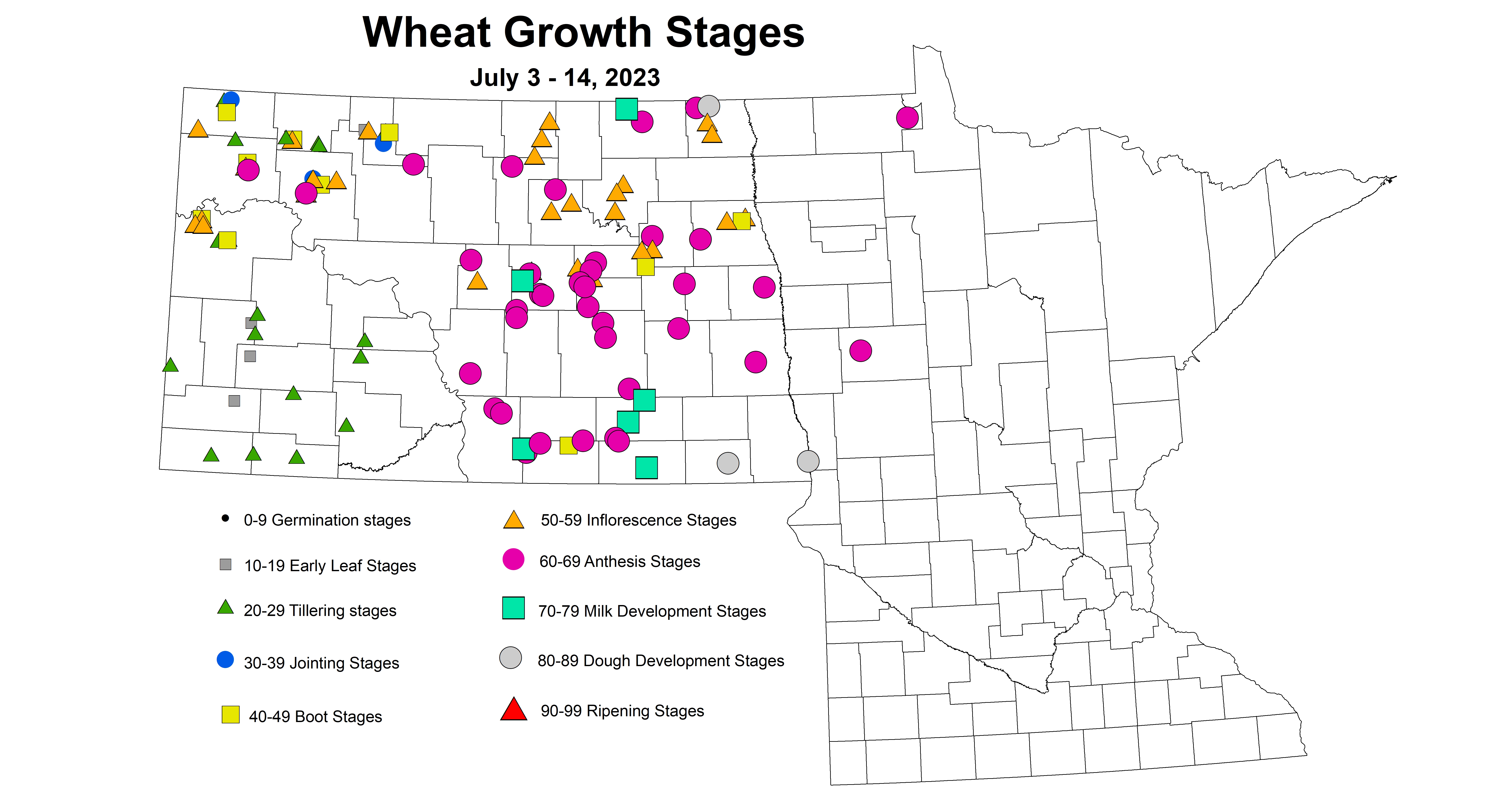 wheat growth stages July 3-14 2023