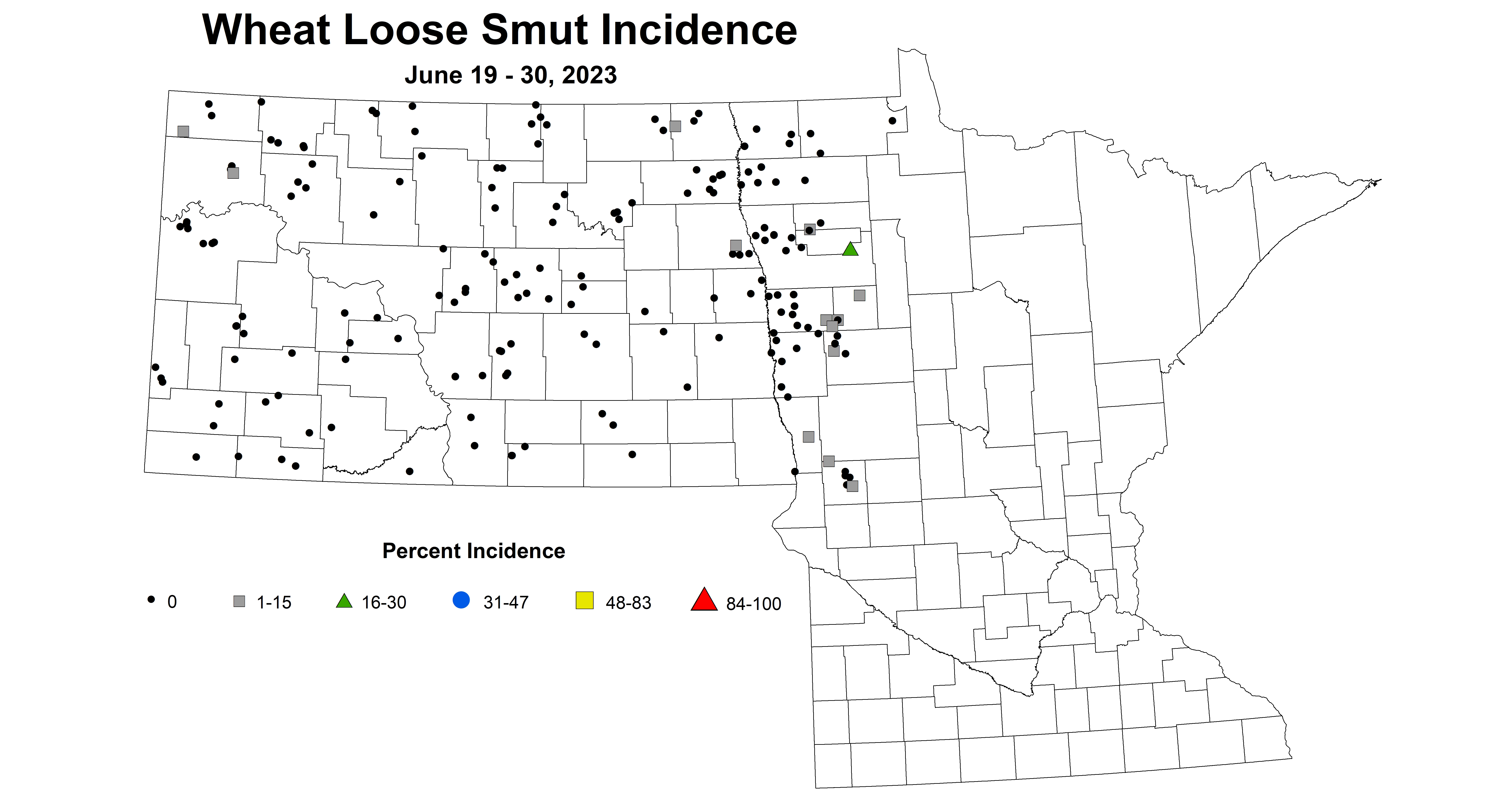wheat loose smut June 19-30 2023