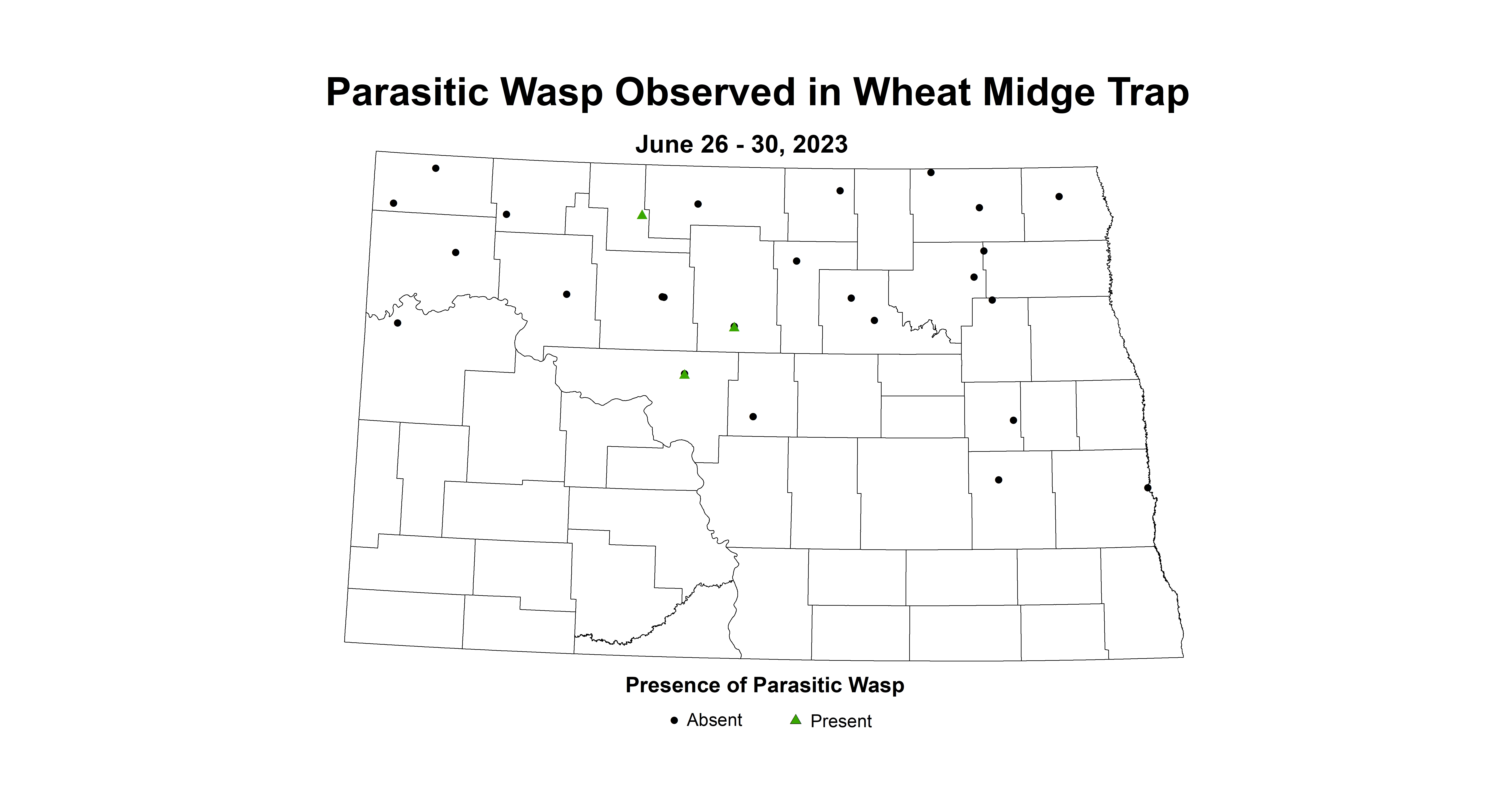 wheat midge parasitic wasp June 26-30 2023