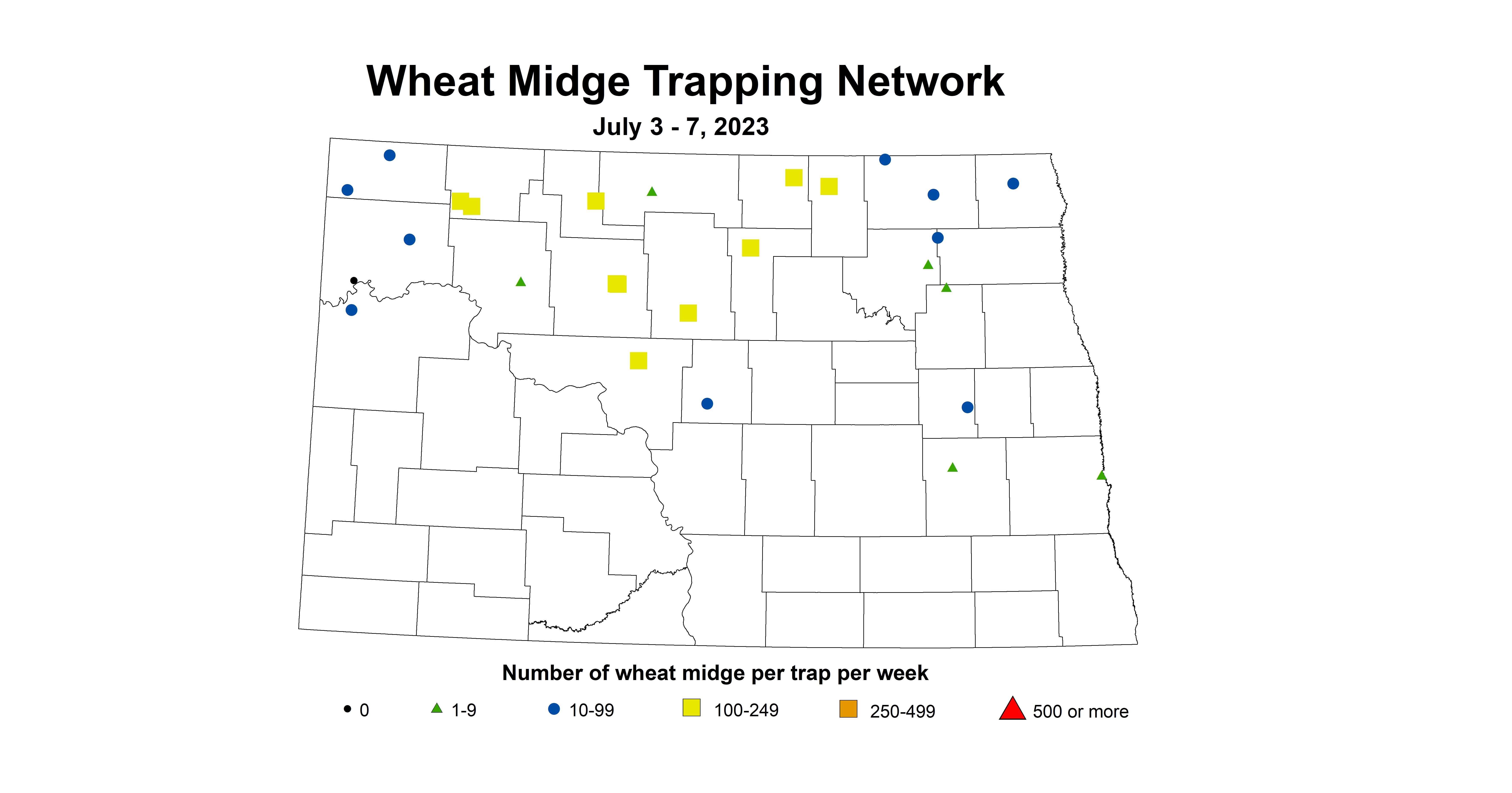 wheat midge trap July 3-7 2023