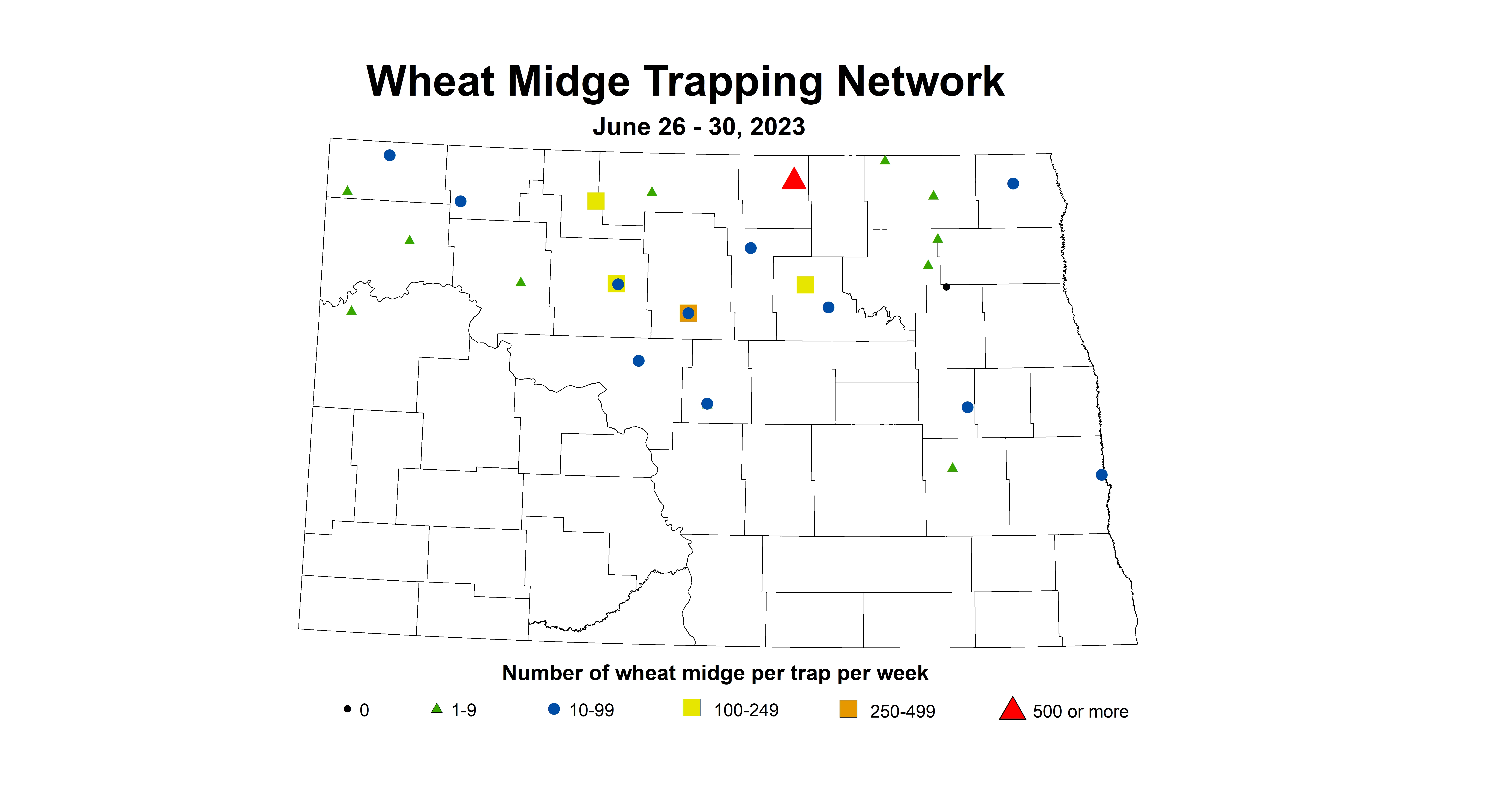 wheat midge trap June 26-30 2023