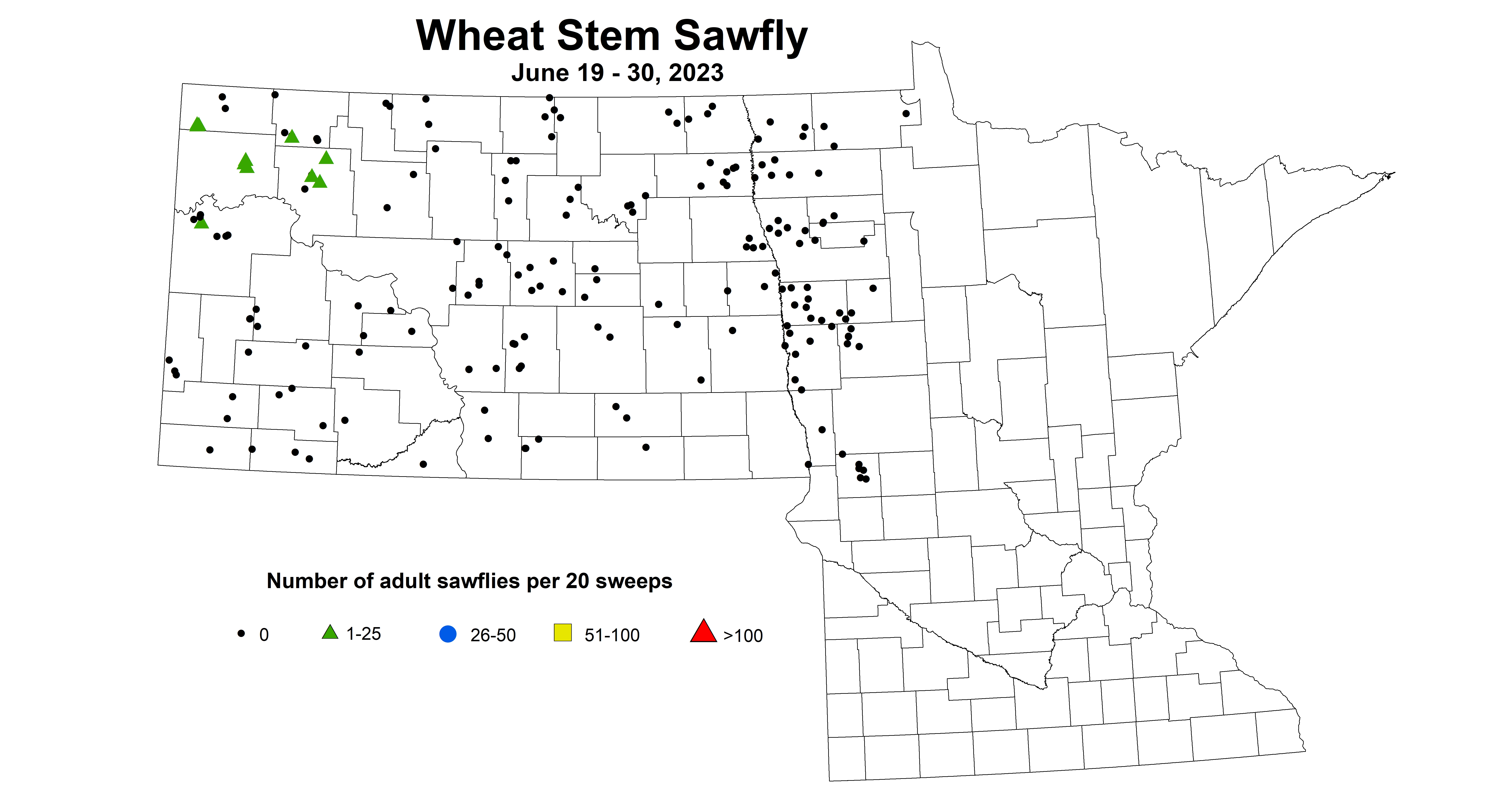 wheat sawfly June 19-30 2023