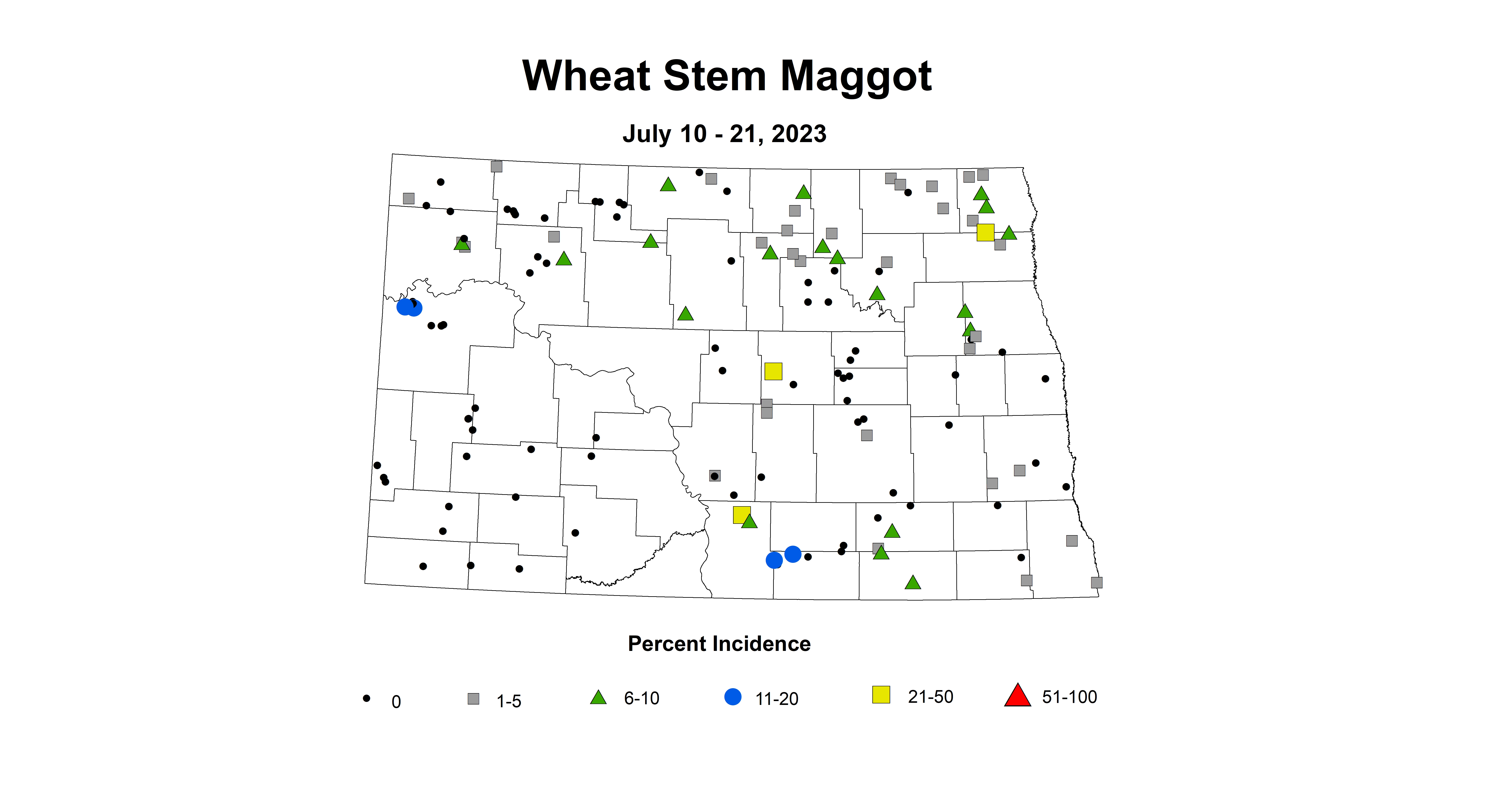 wheat stem maggot July 10-21 2023