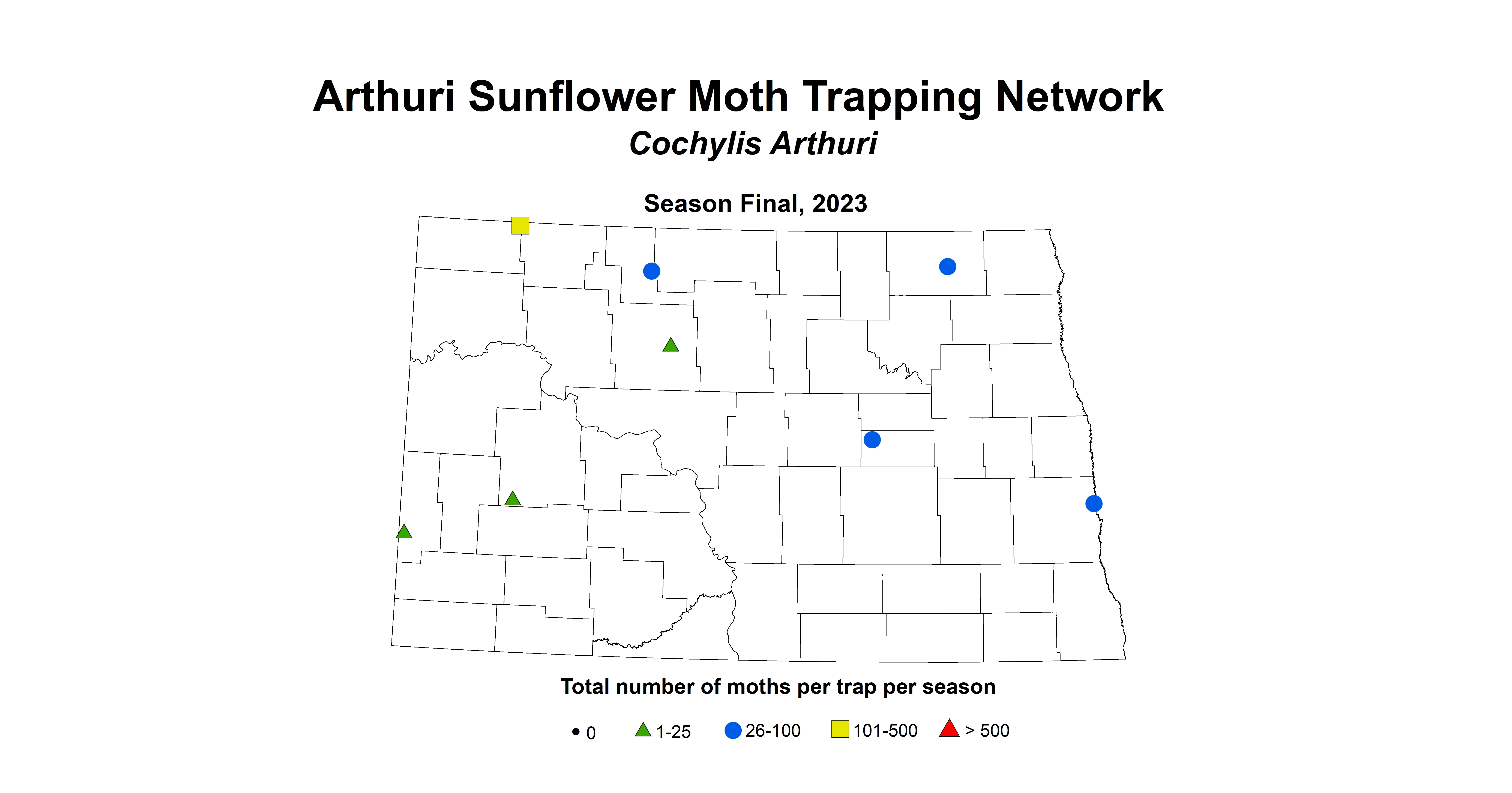 arthuri sunflower moth 2023 season final