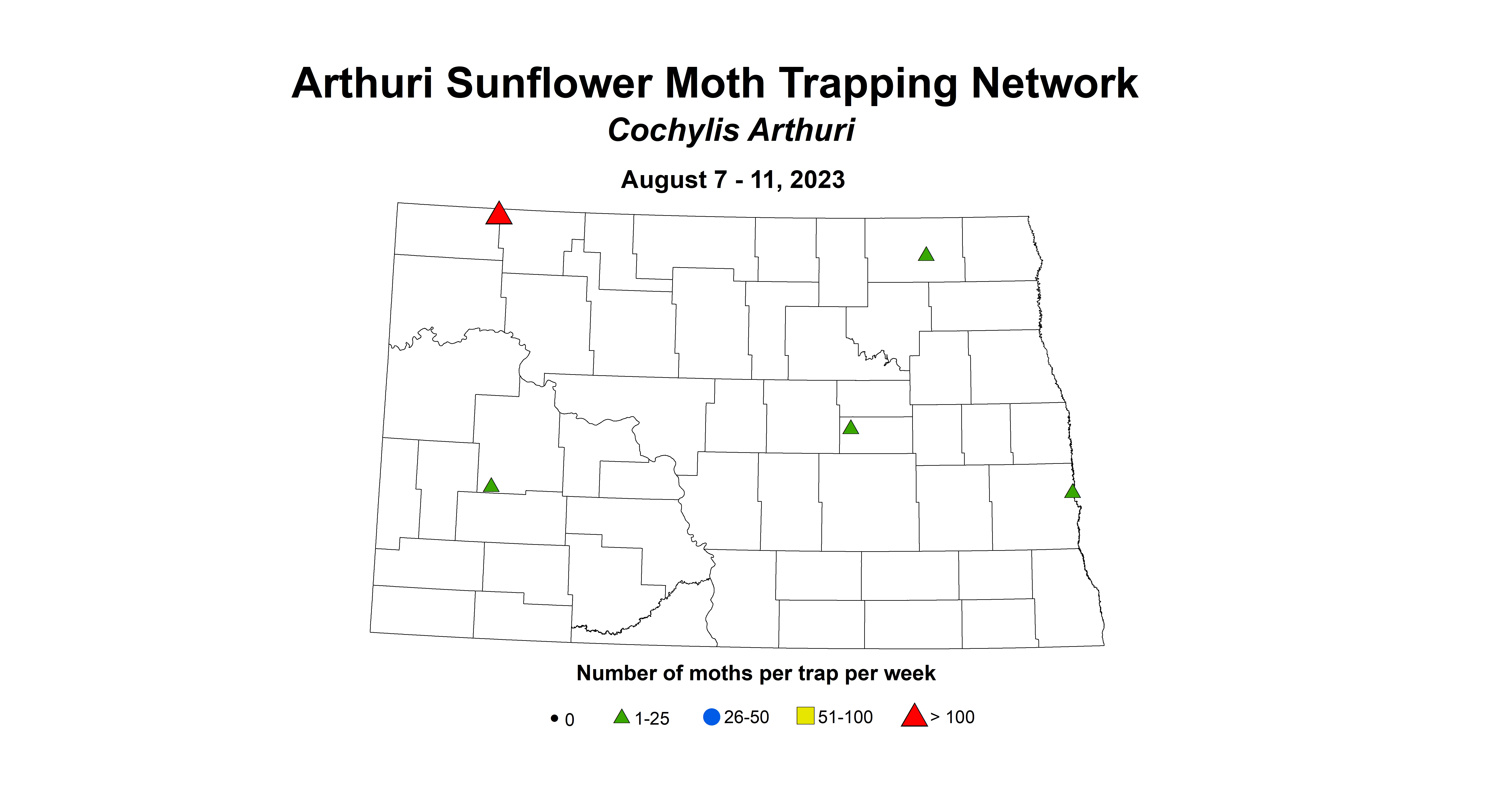 arthuri sunflower moth 8.7-8.11 2023
