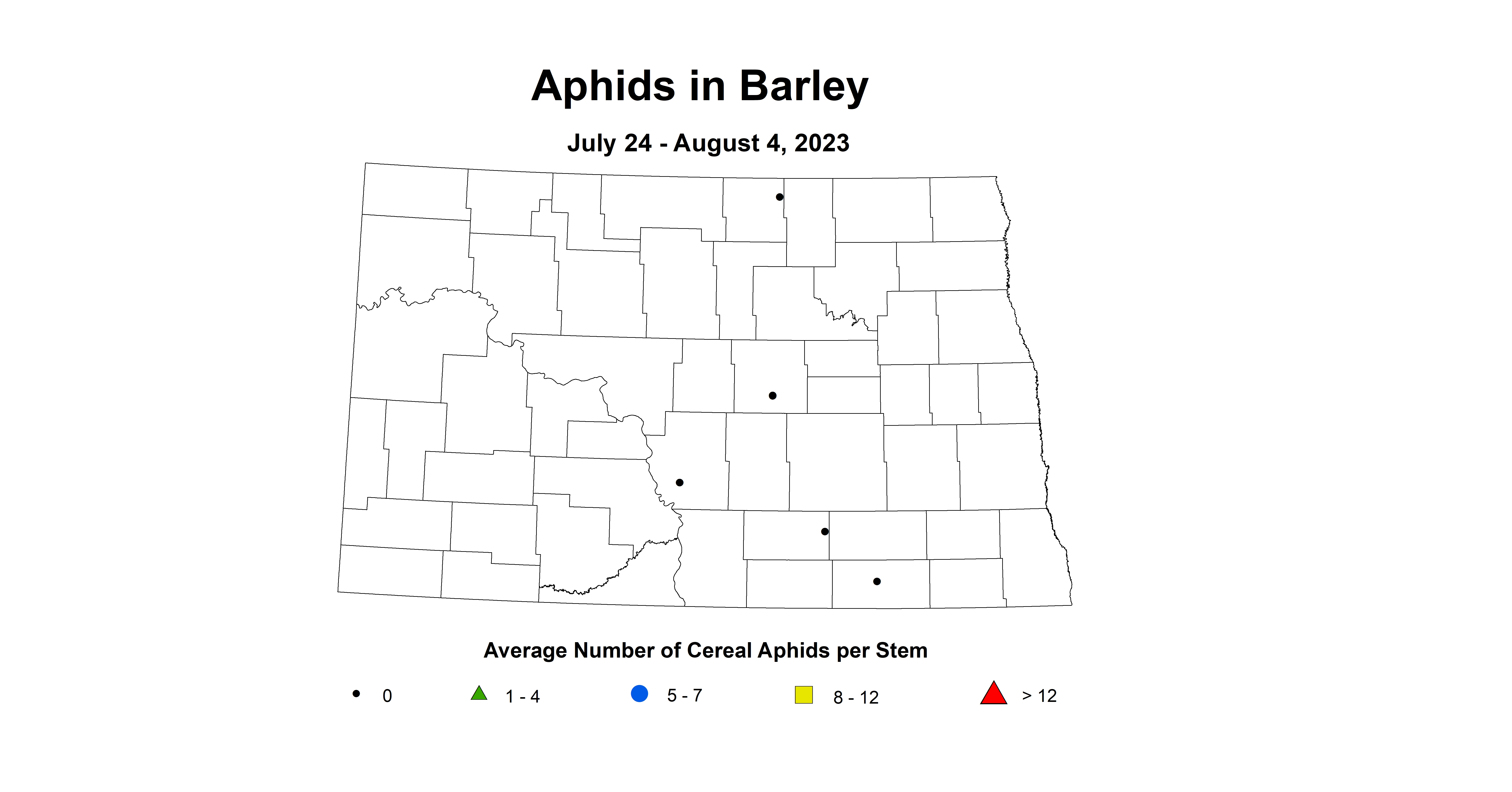 barley aphids 7.24-8.4 2023