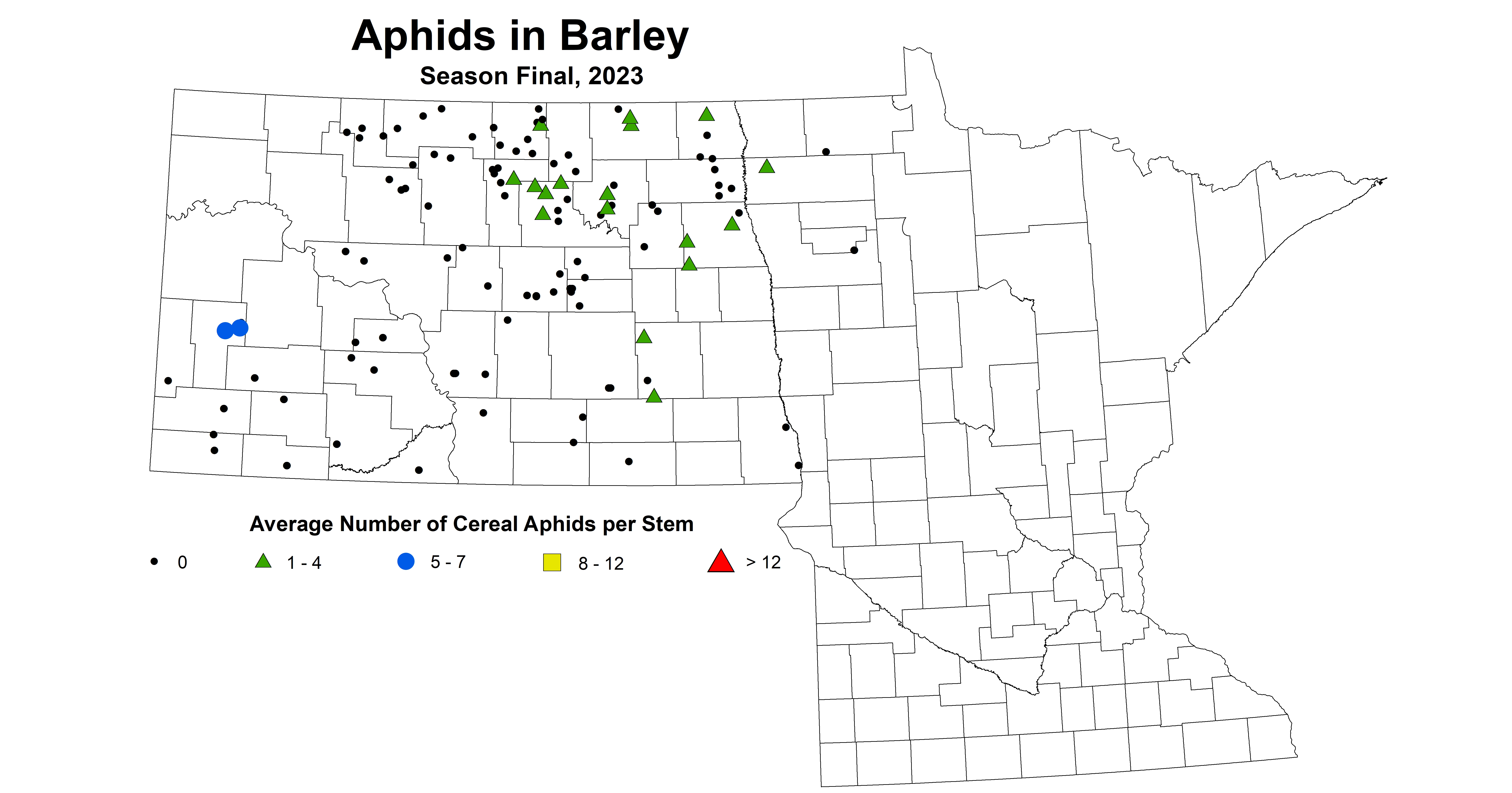 barley aphids season final 2023