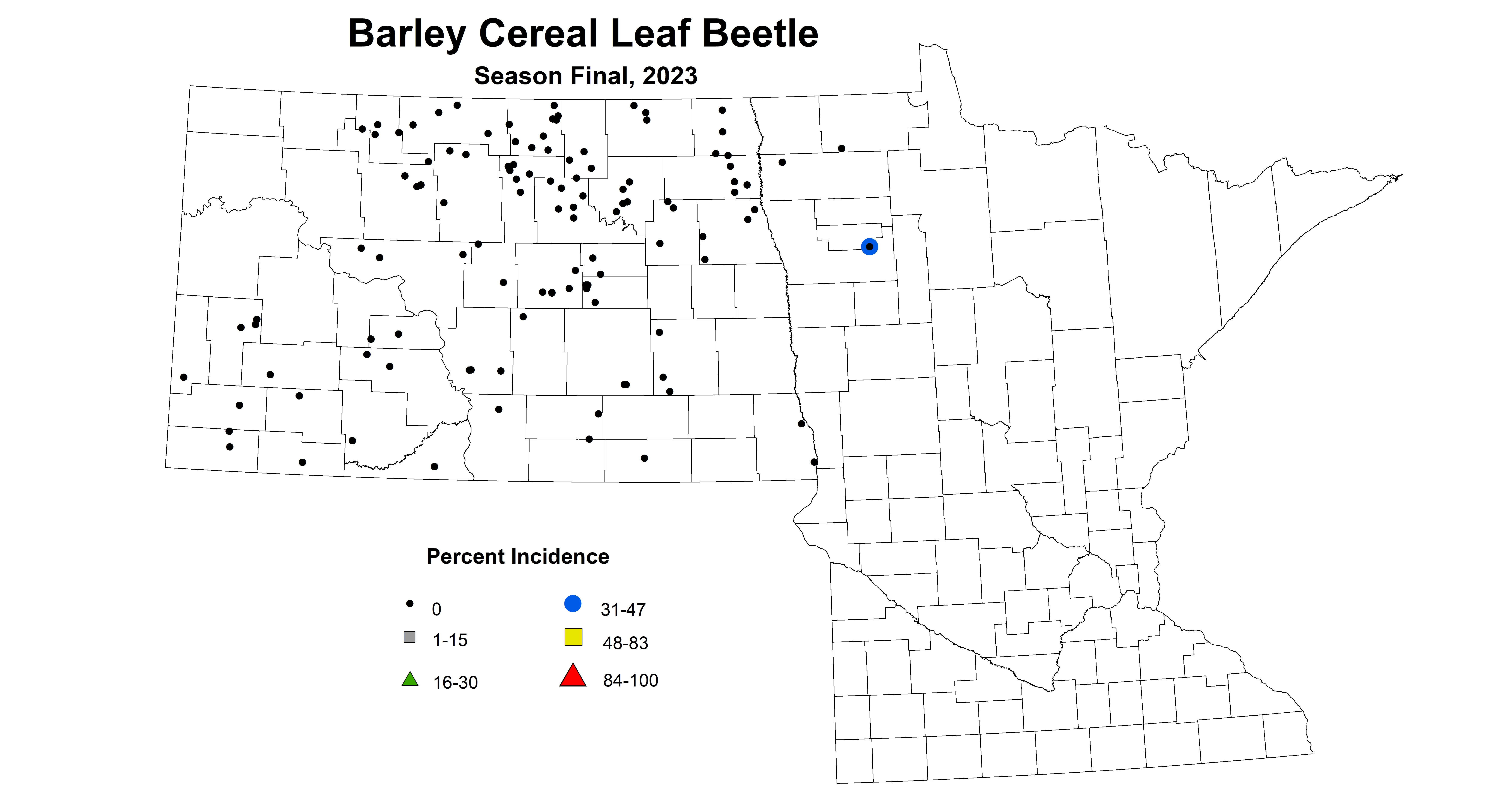 barley cereal leaf beetle season final 2023