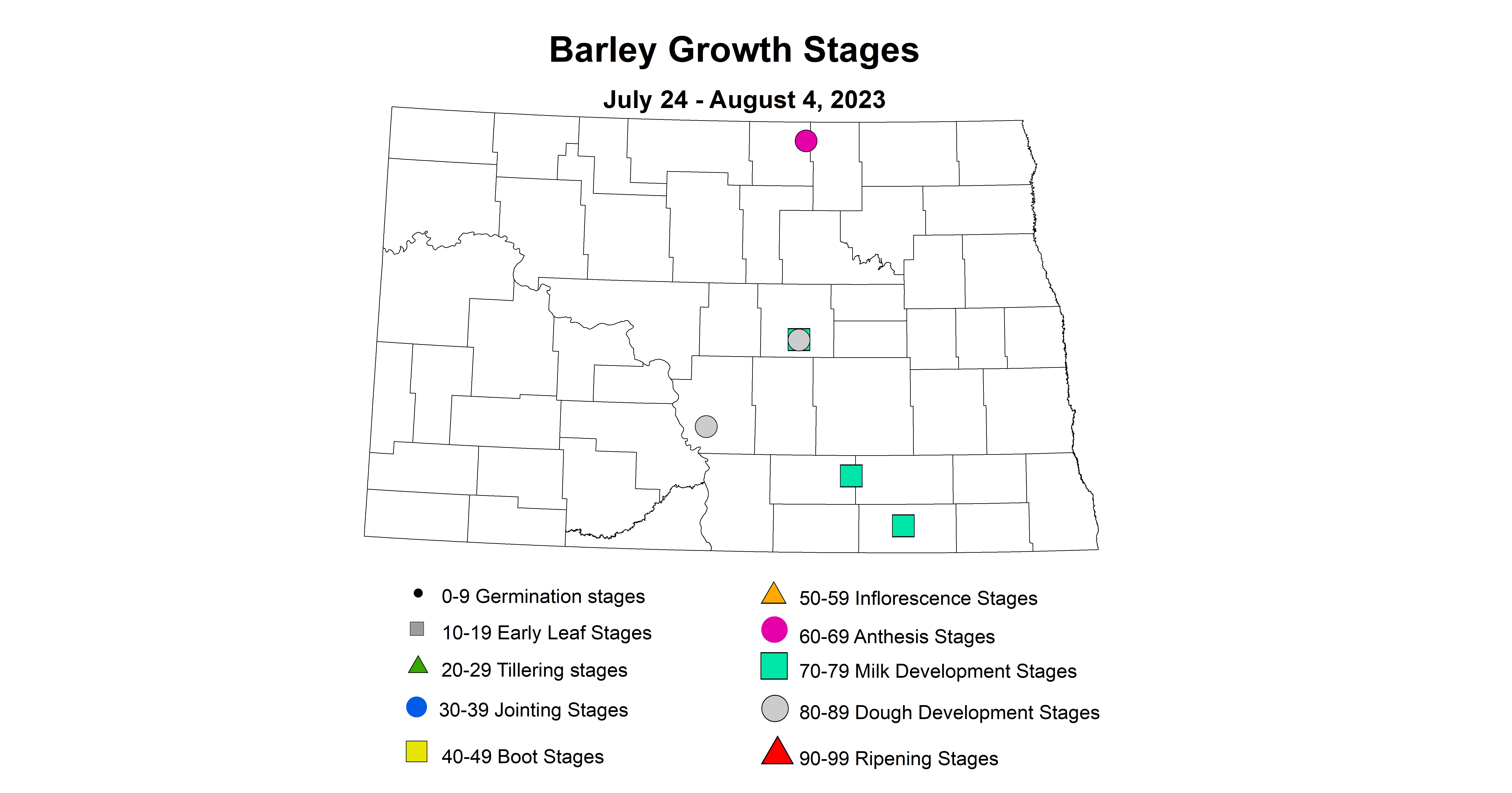 barley growth stages 7.24-8.4 2023