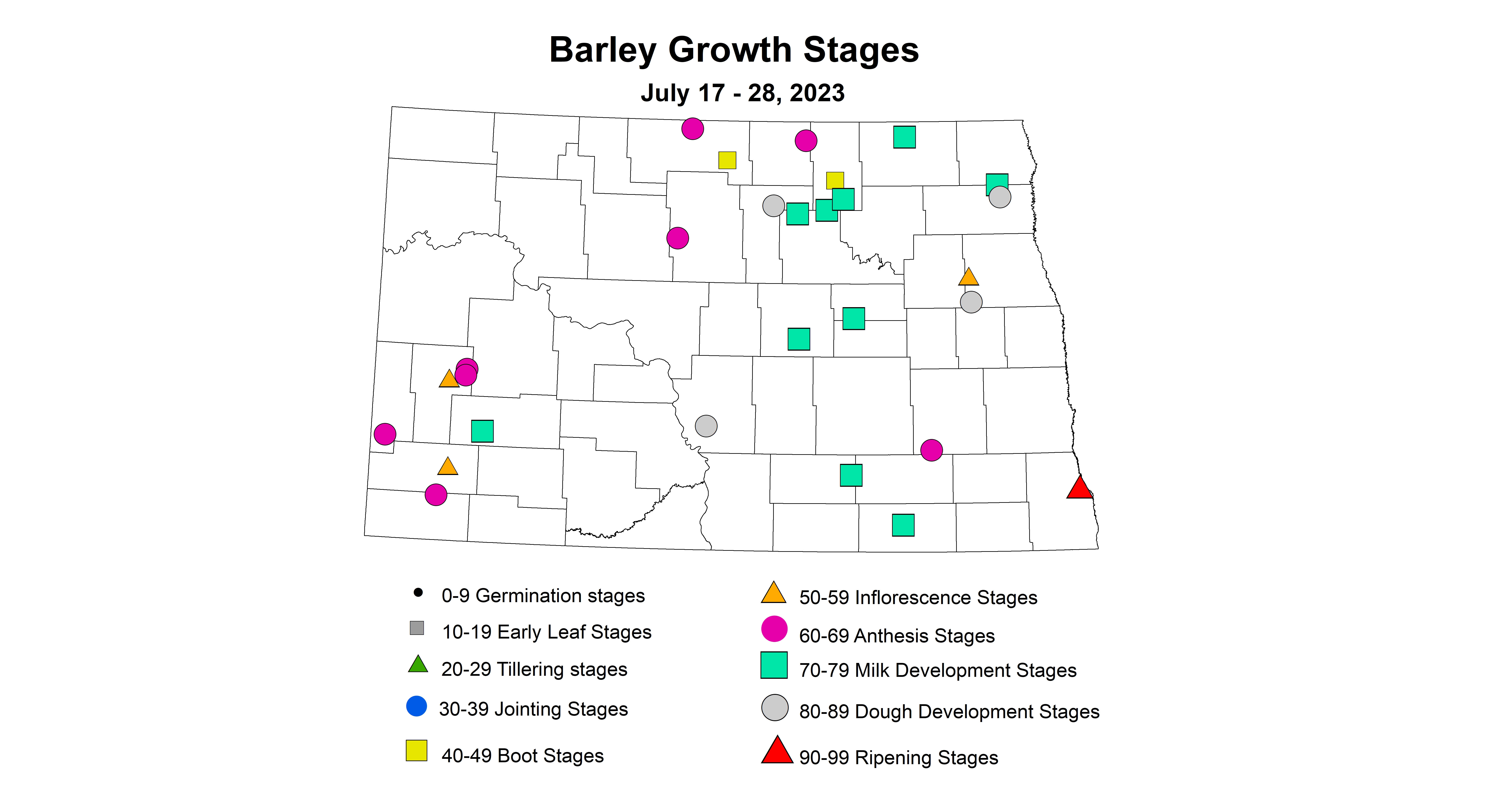 barley growth stages July 17-28 2023