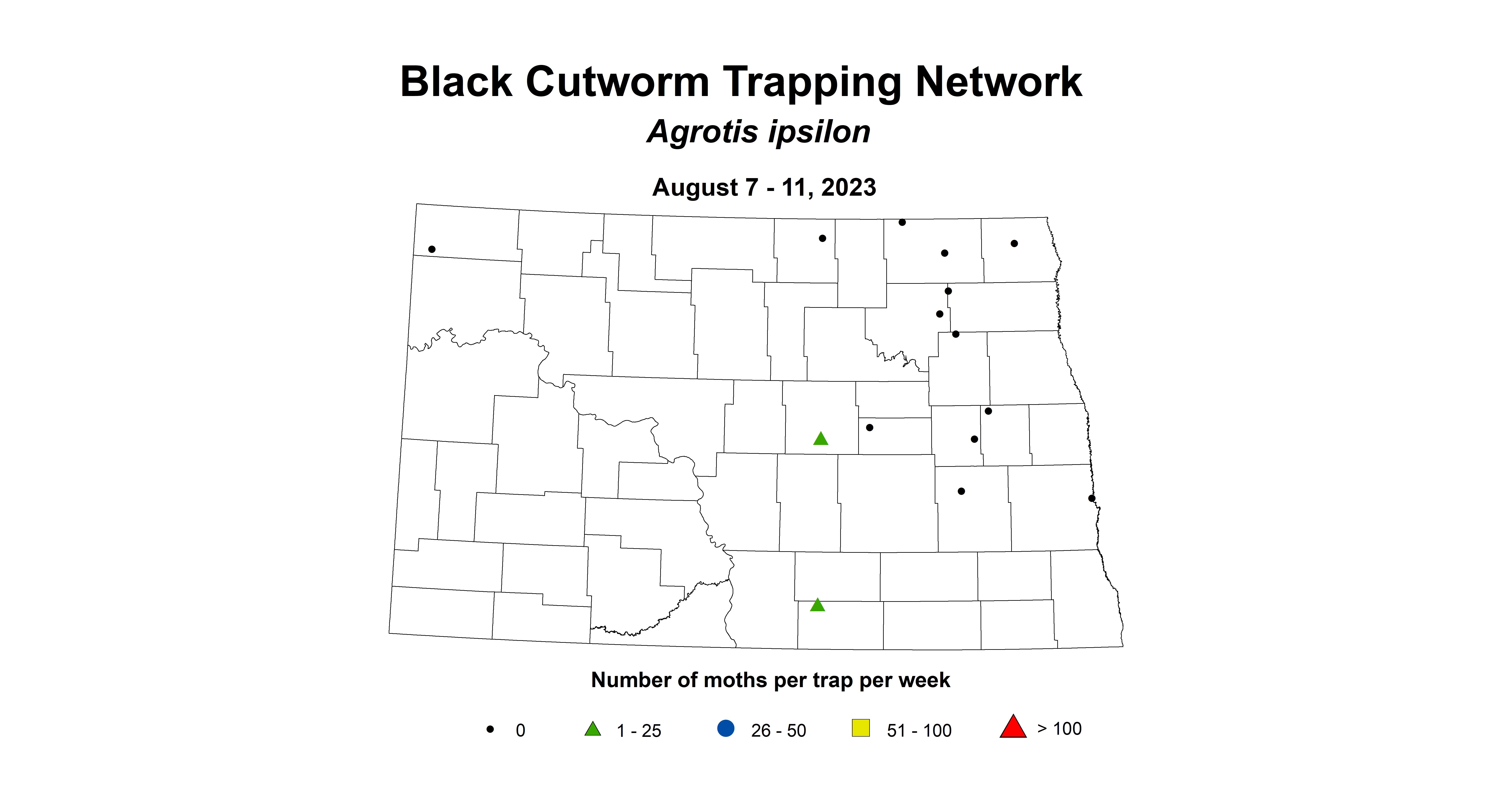 black cutworm wheat insecttrap 8.7-8.11 2023