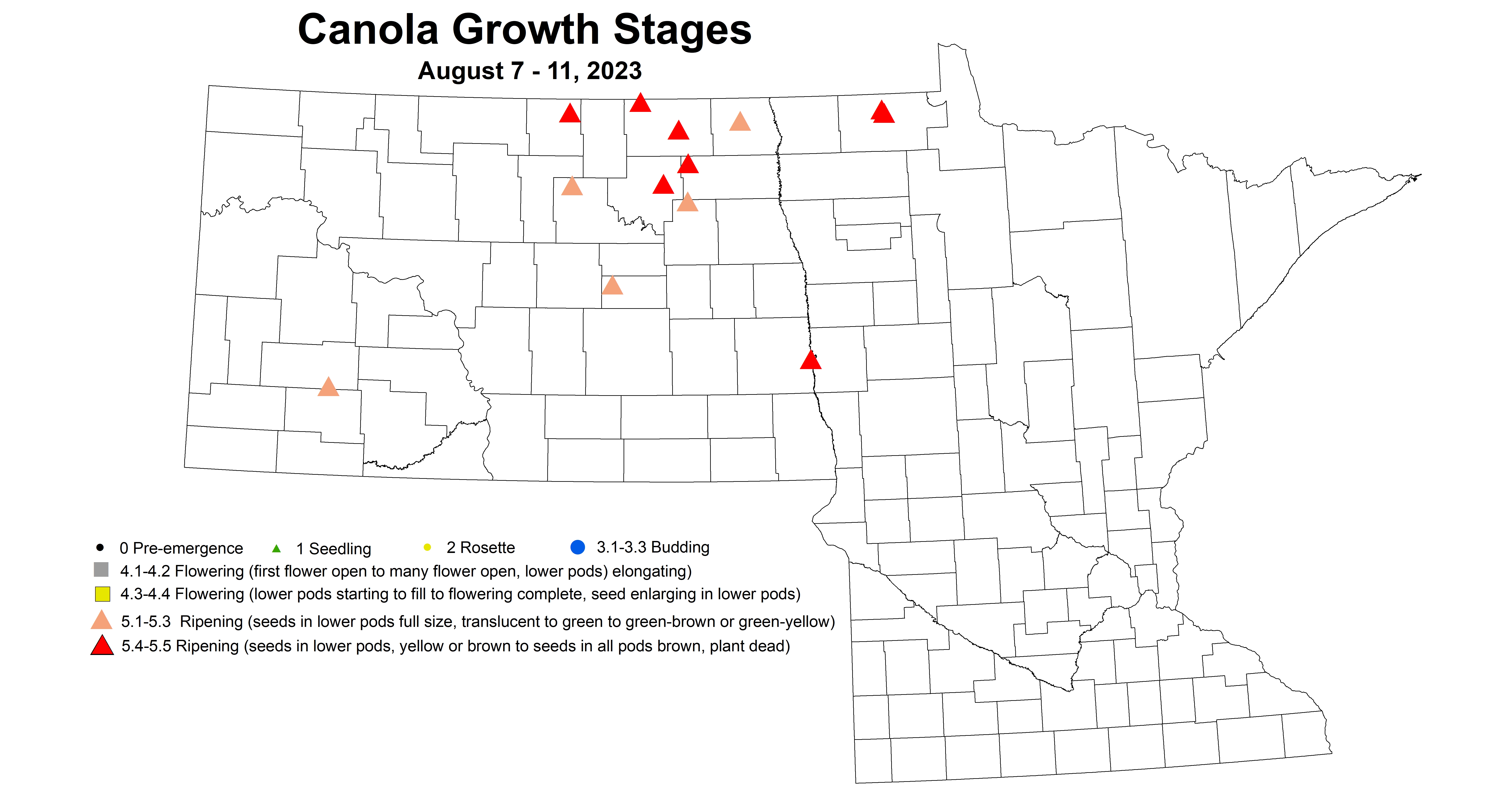 canola growth stages 8.7-8.11 2023