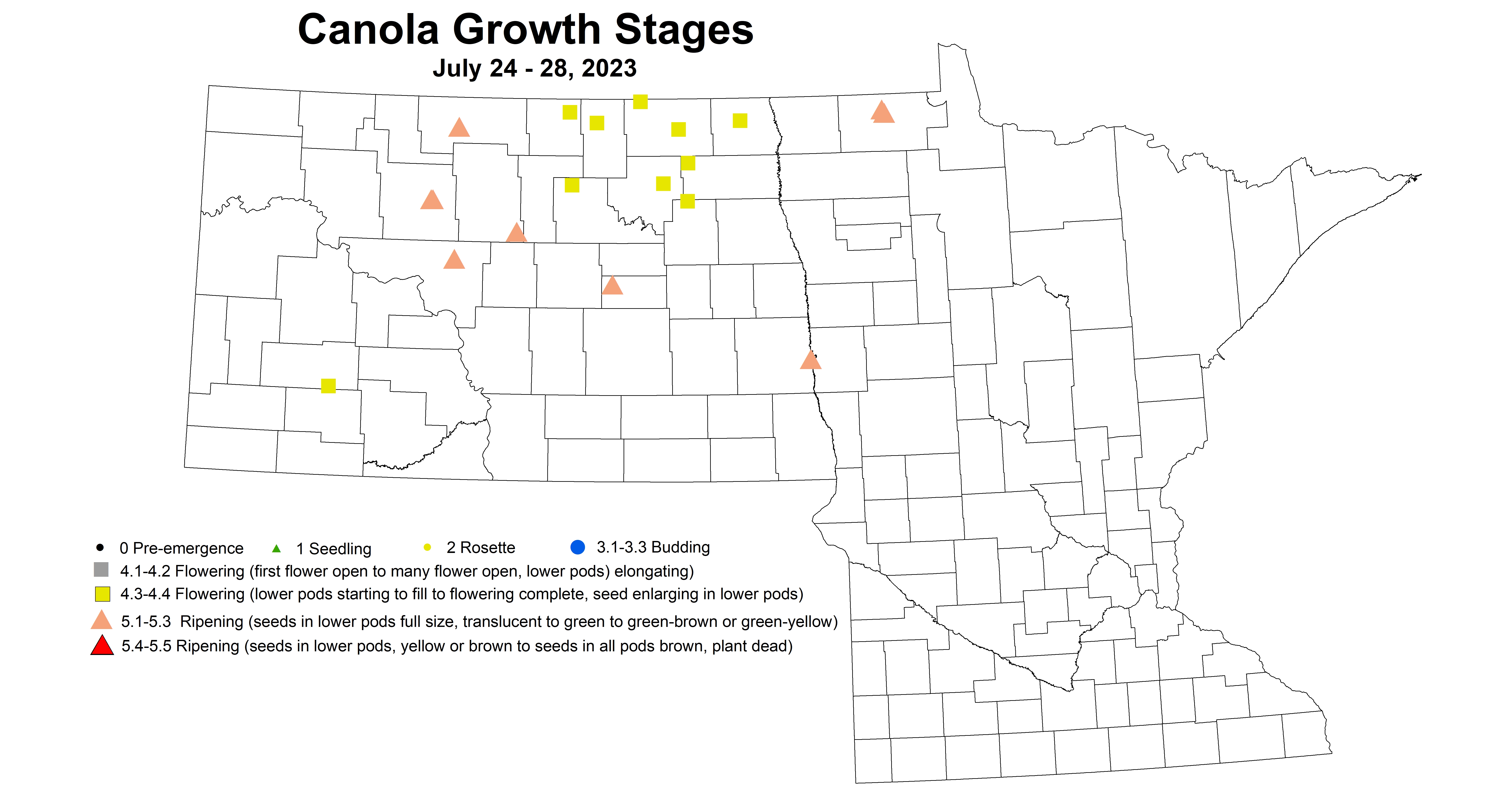 canola growth stages July 24-28 2023