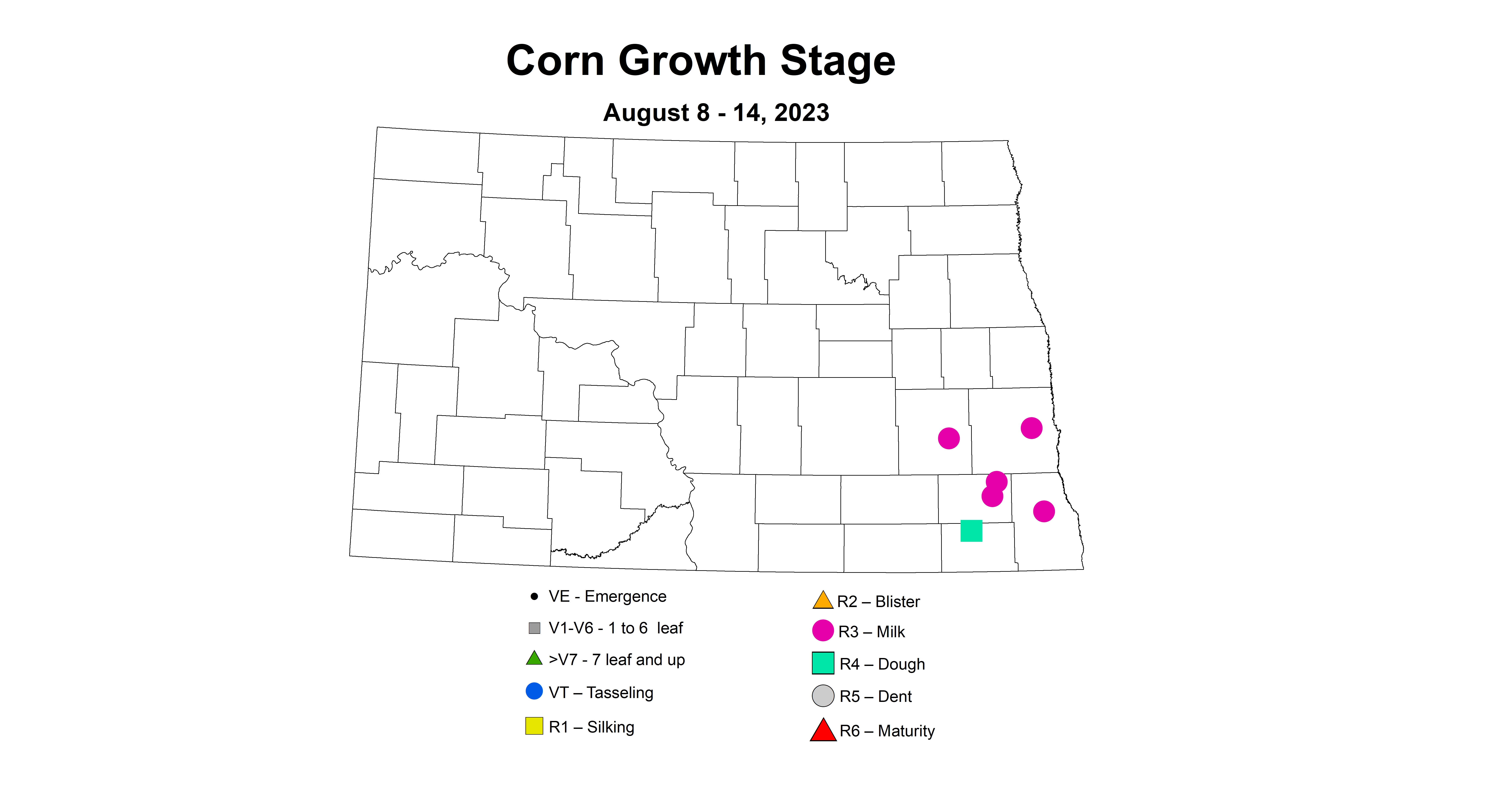 corn growth stages 8.8-8.14 2023