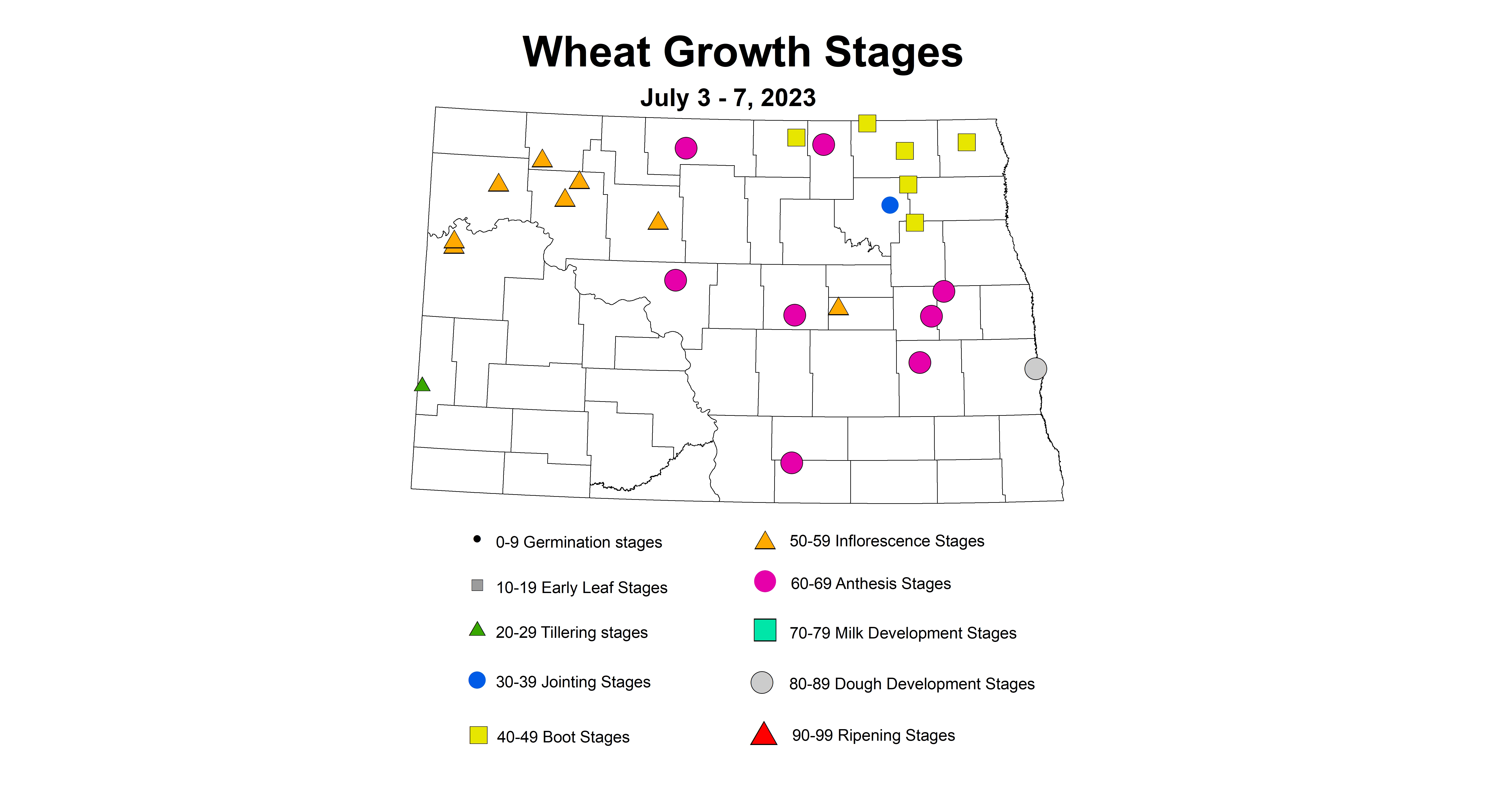 corrcted wheat insect trap growth stages July 3-7 2023