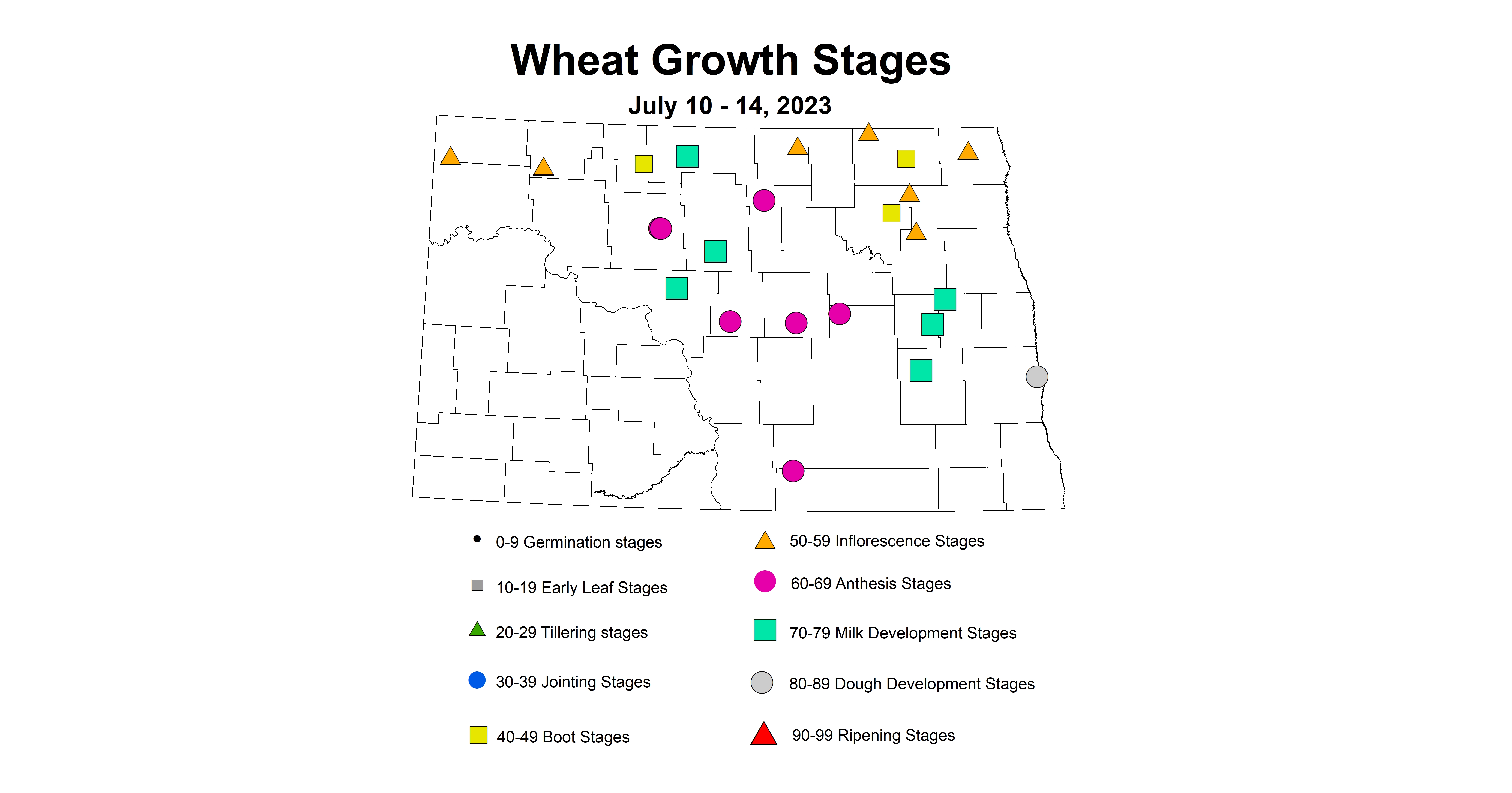 corrected wheat insect trap growth stages July 10-14 2023