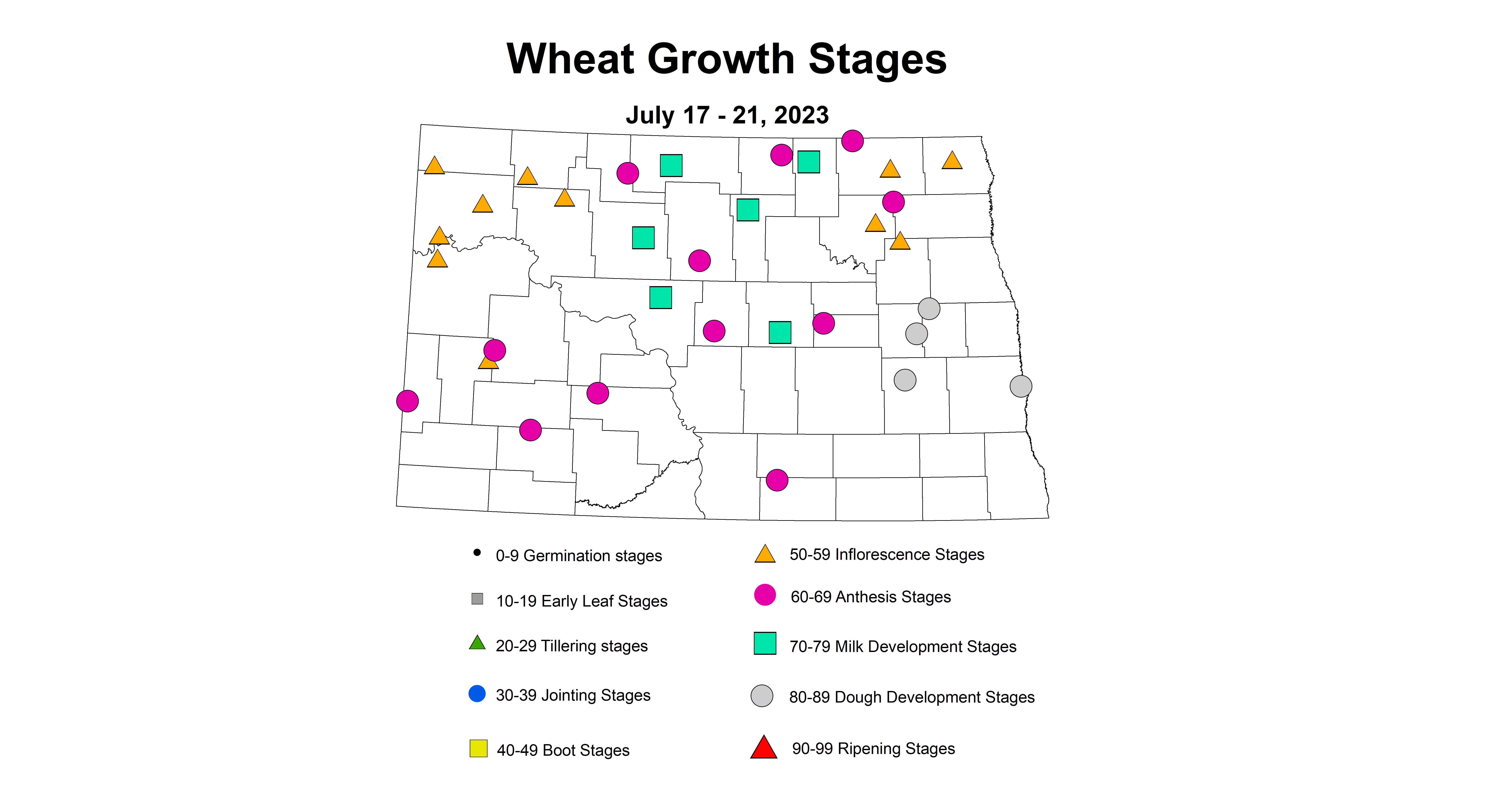 corrected wheat insect trap growth stages July 17-21 2023