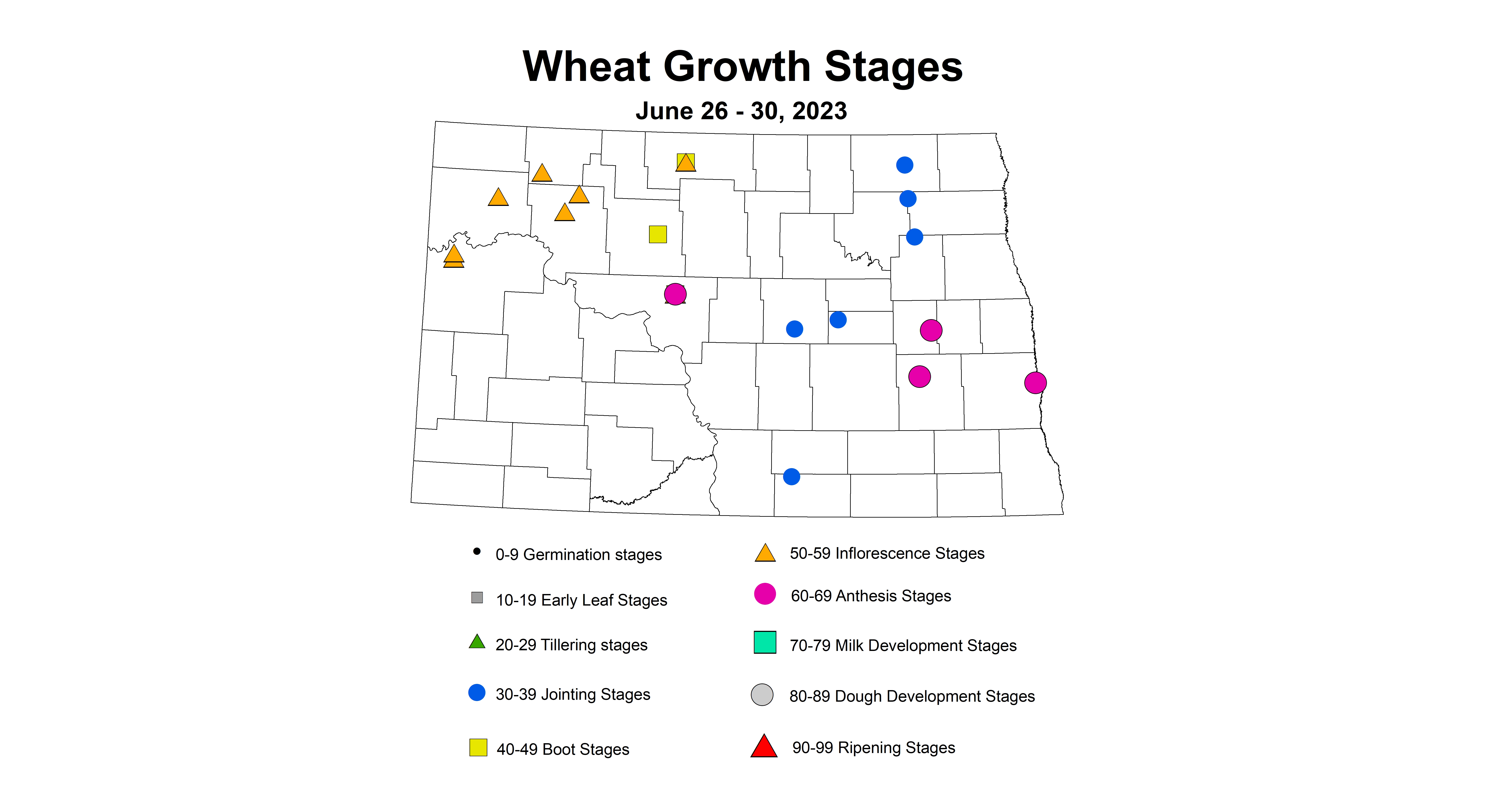 corrected wheat insect trap growth stages June 26-30 2023
