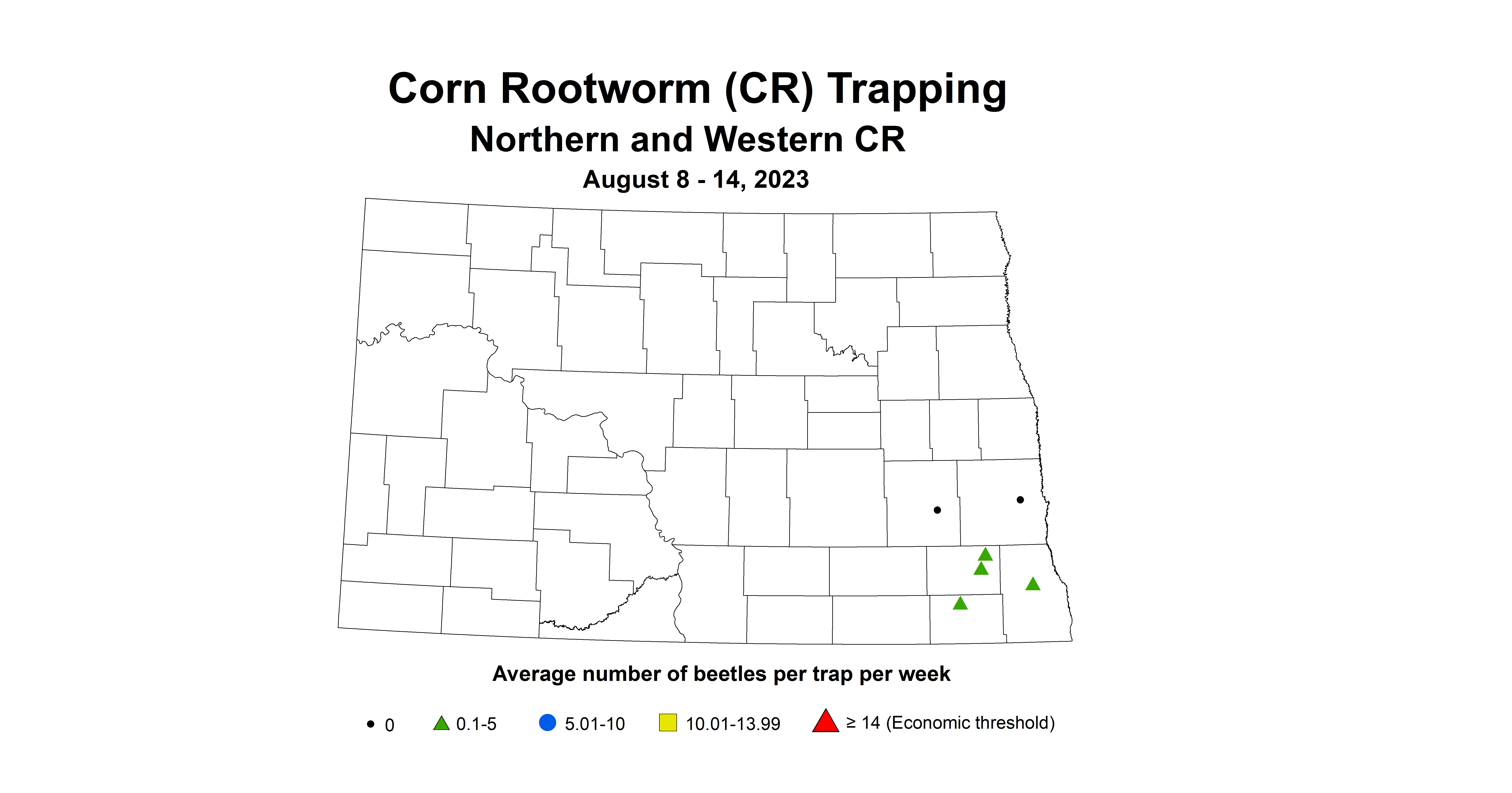 northern and western corn rootworm August 8-14 2023