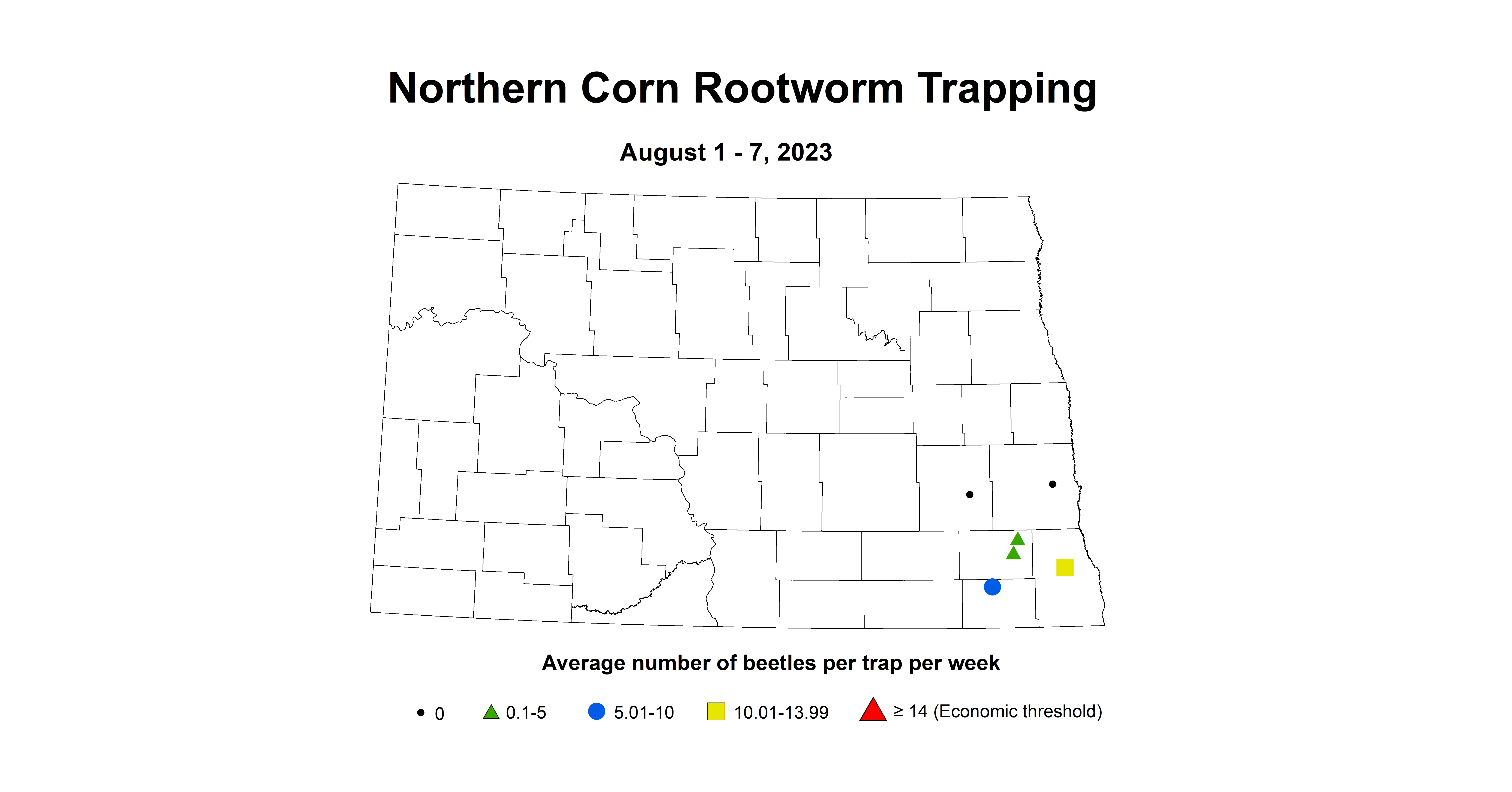 northern corn rootworm August 1 - 7 2023