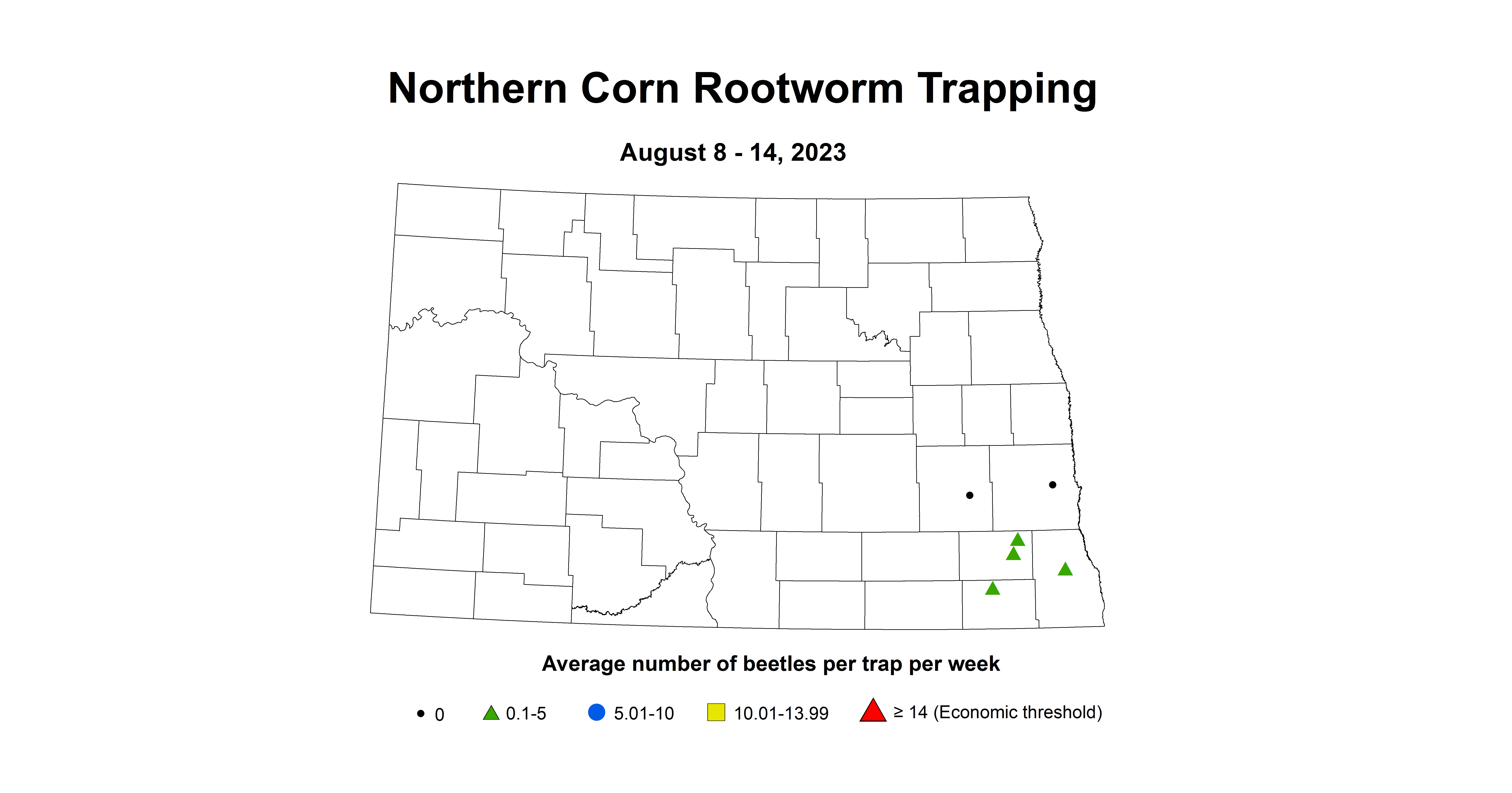 northern corn rootworm August 8-14 2023